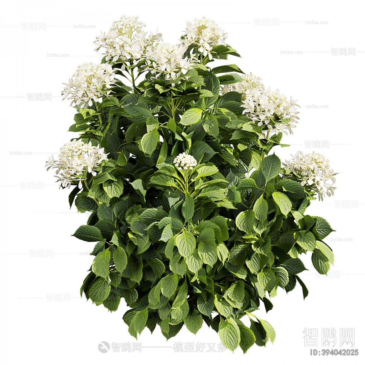 Modern Shrubbery