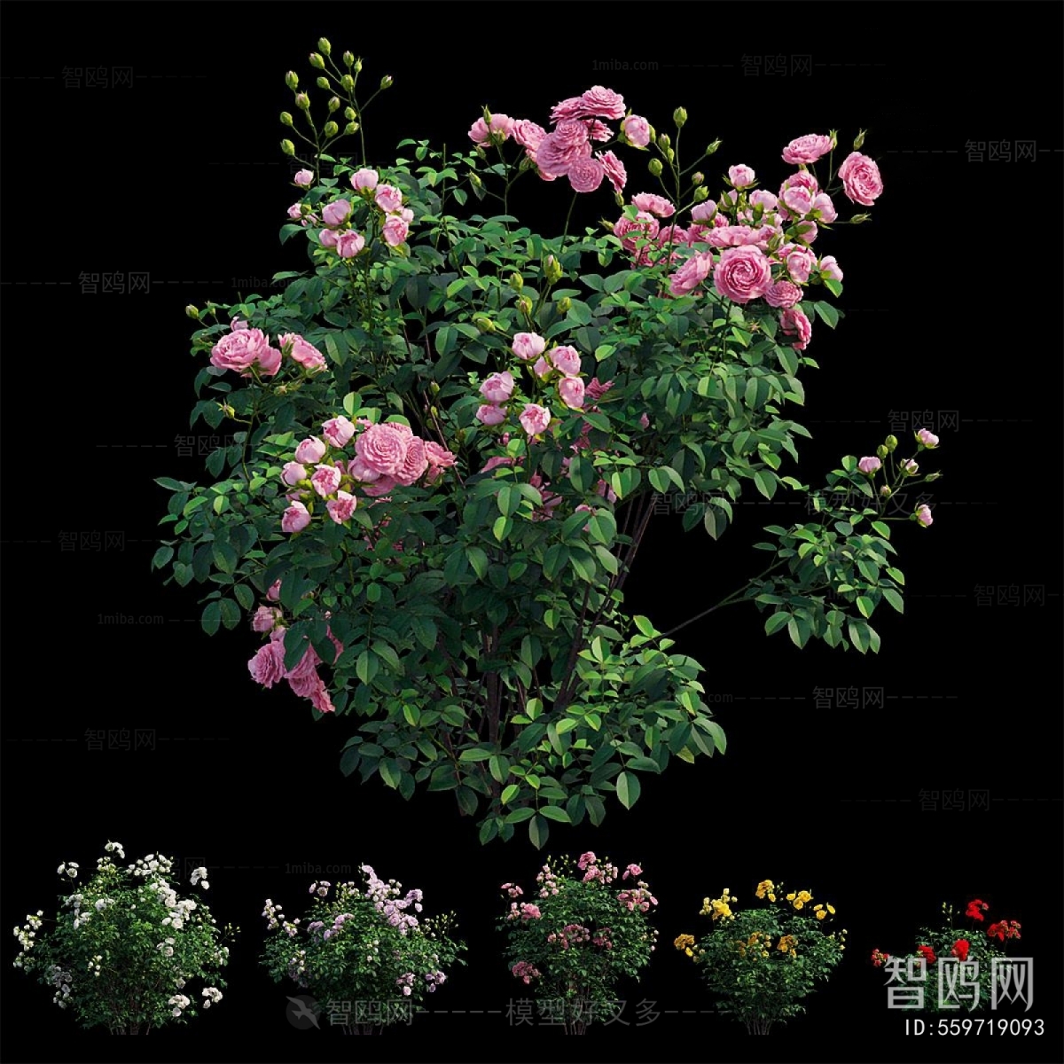 Modern Flowers And Grass