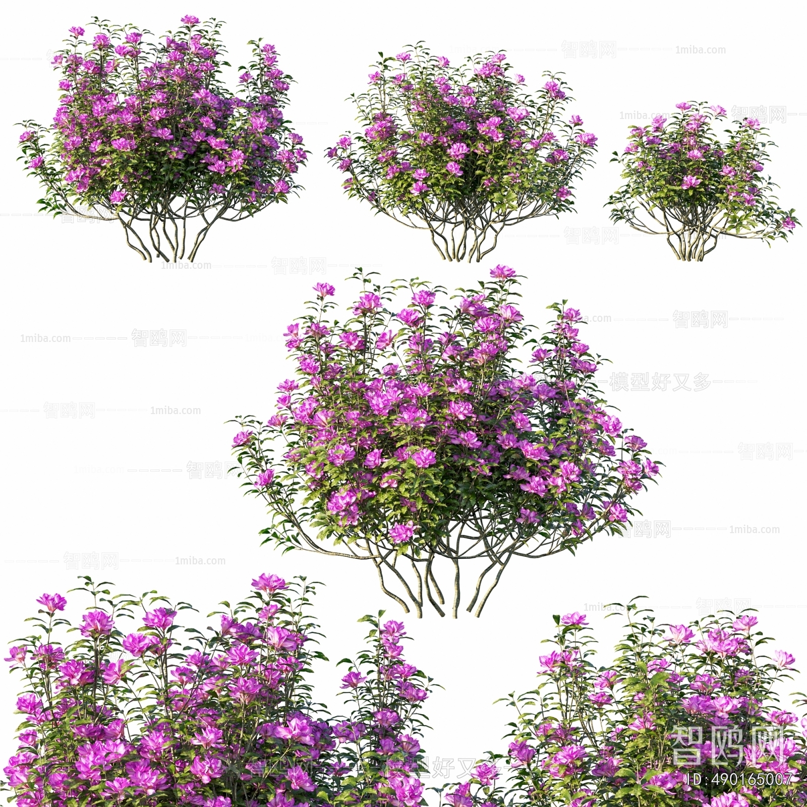 Modern Shrubbery