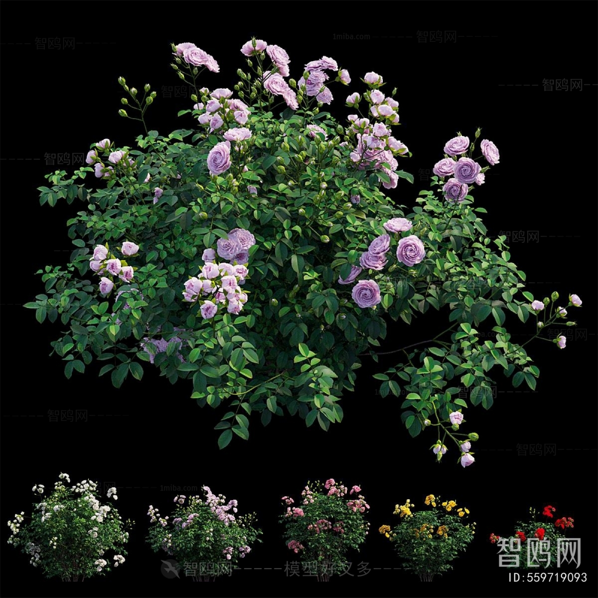 Modern Flowers And Grass