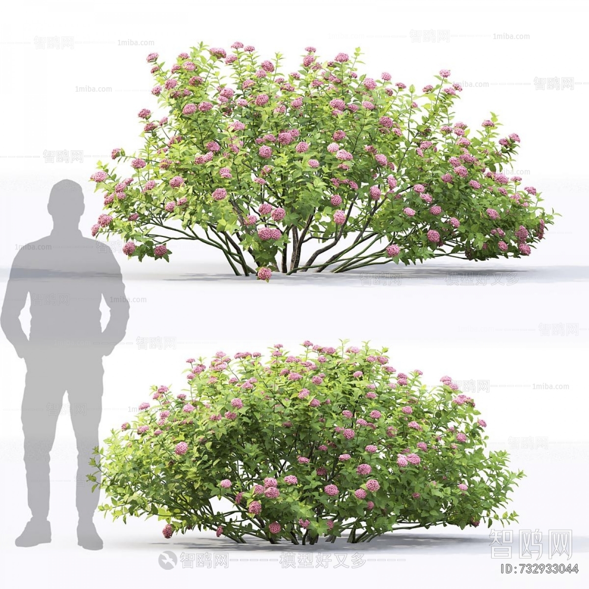 Modern Shrubbery