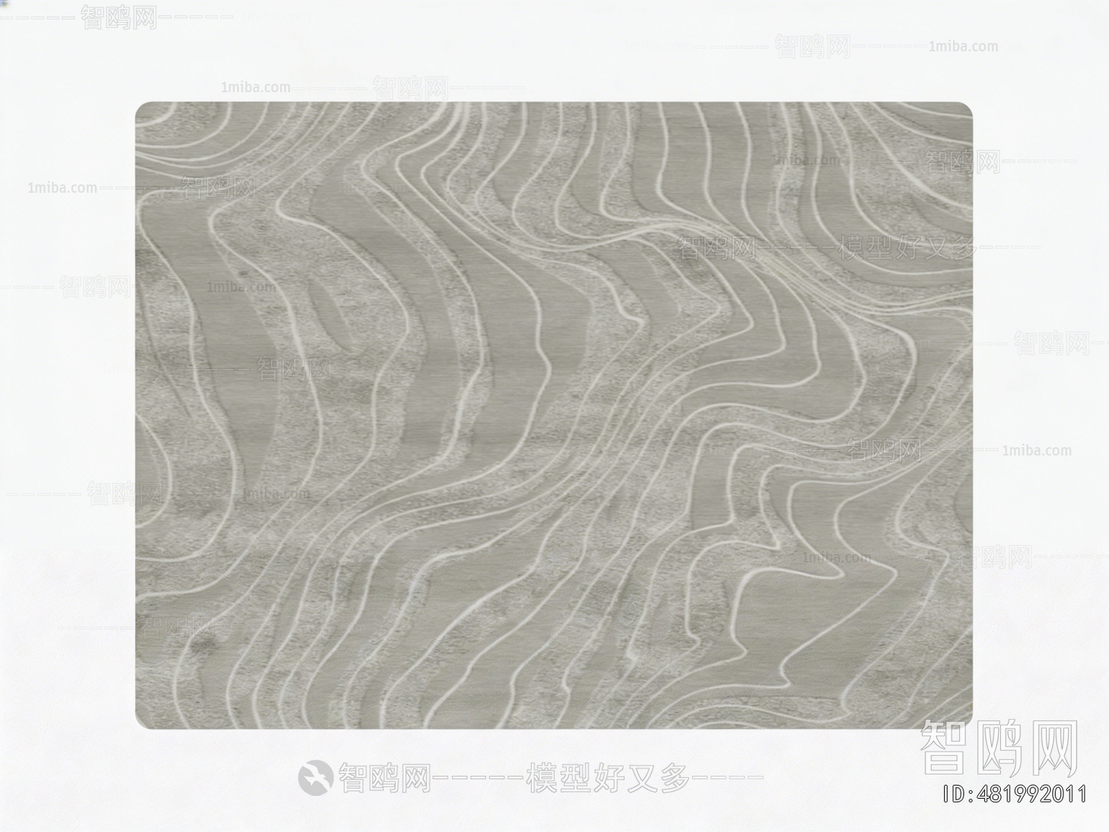 Modern The Carpet