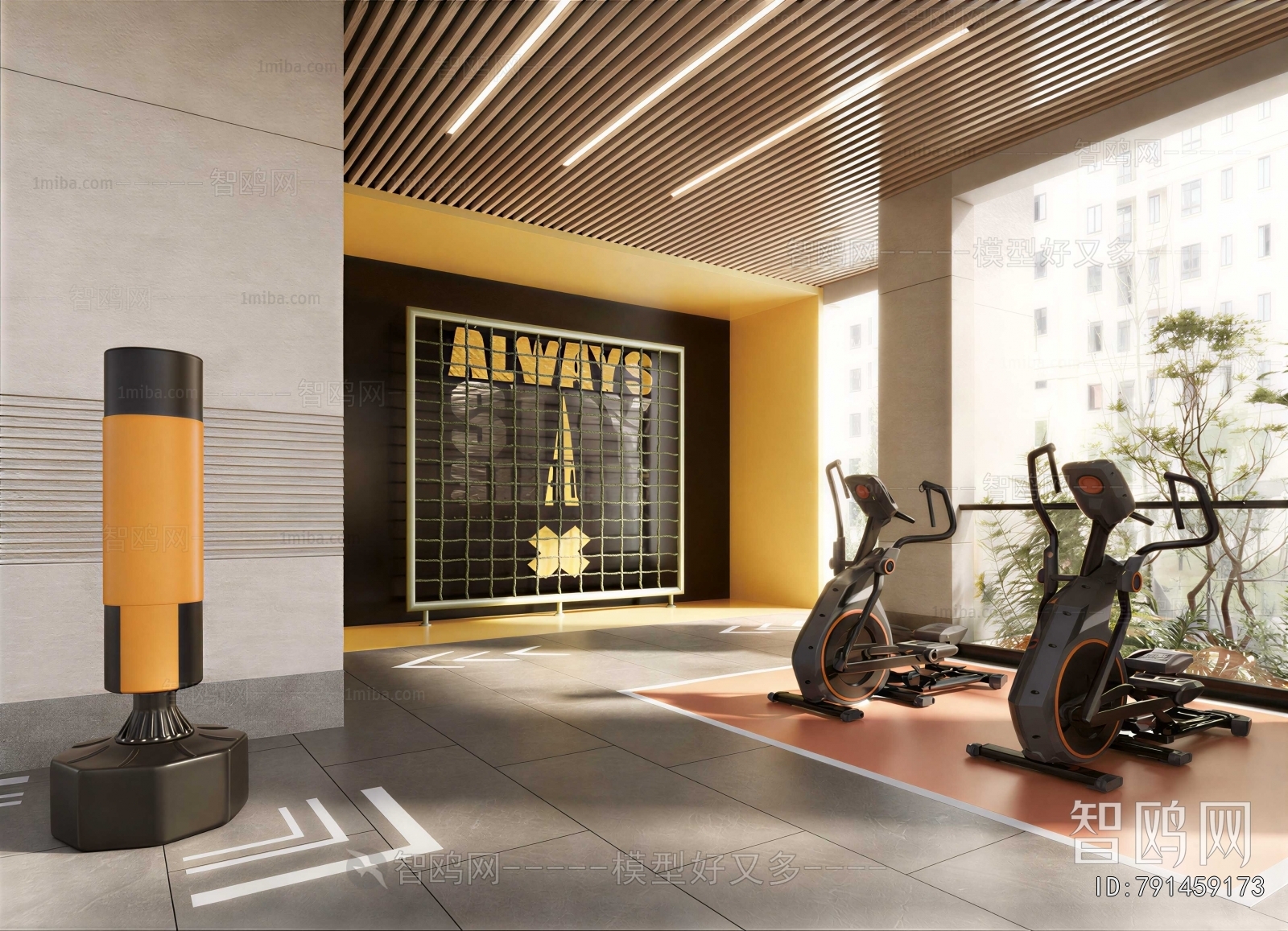 Modern Gym