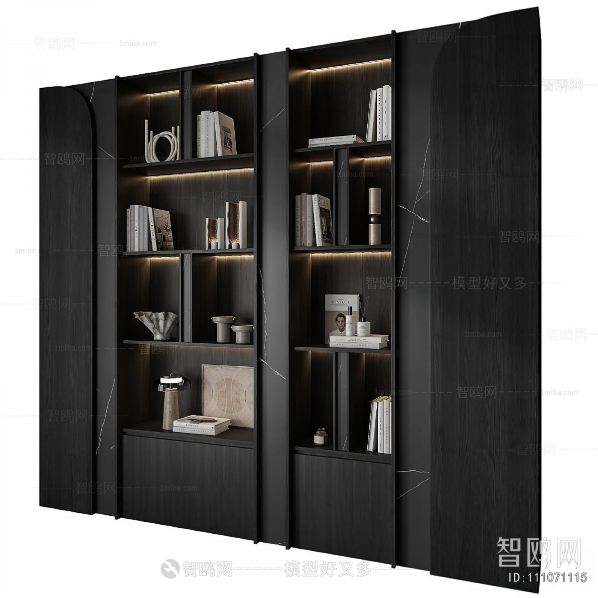 Modern Bookcase
