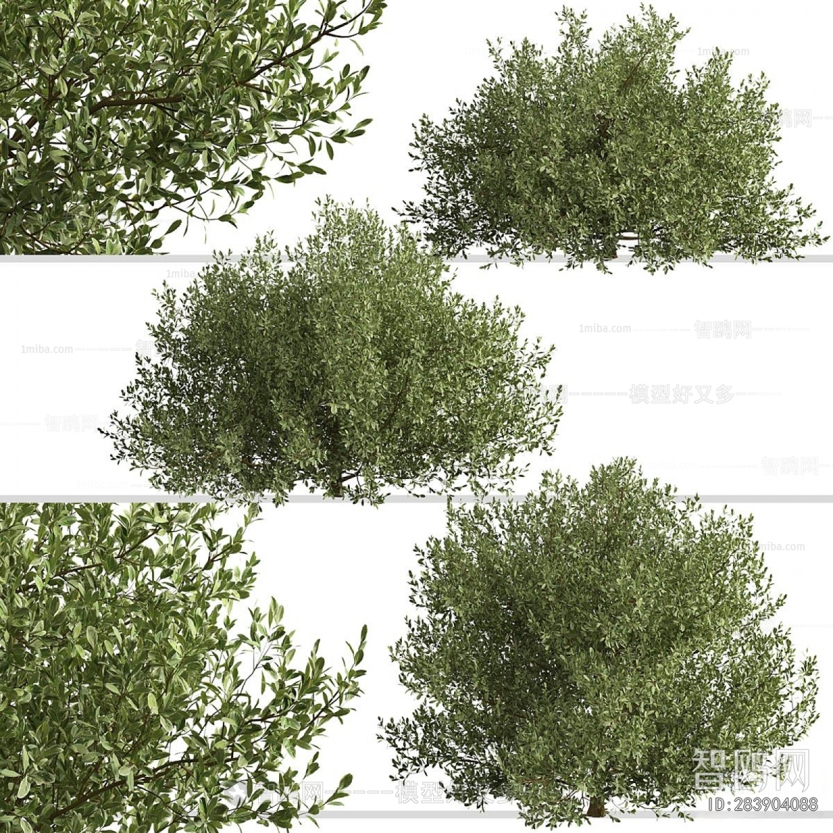 Modern Shrubbery