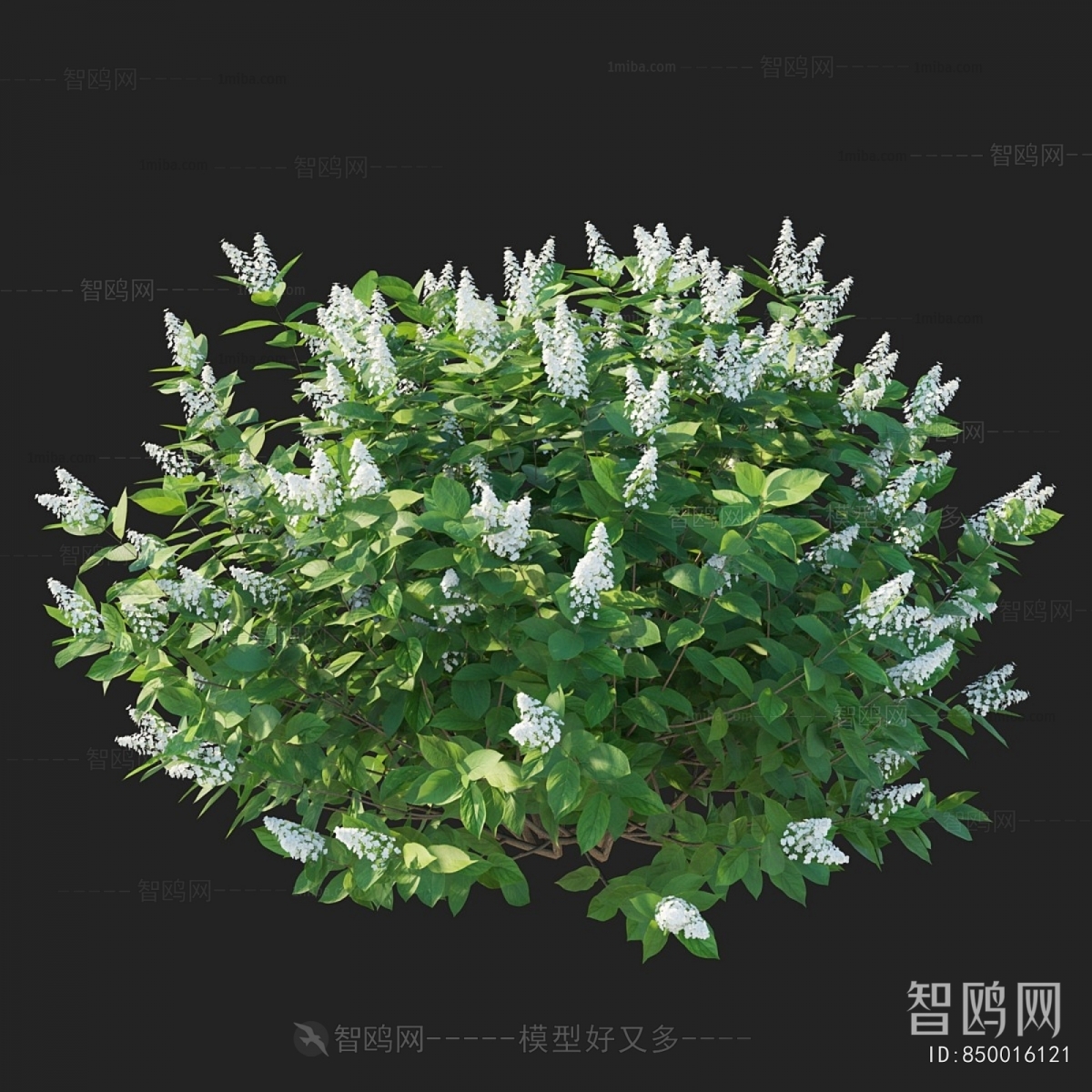 Modern Shrubbery