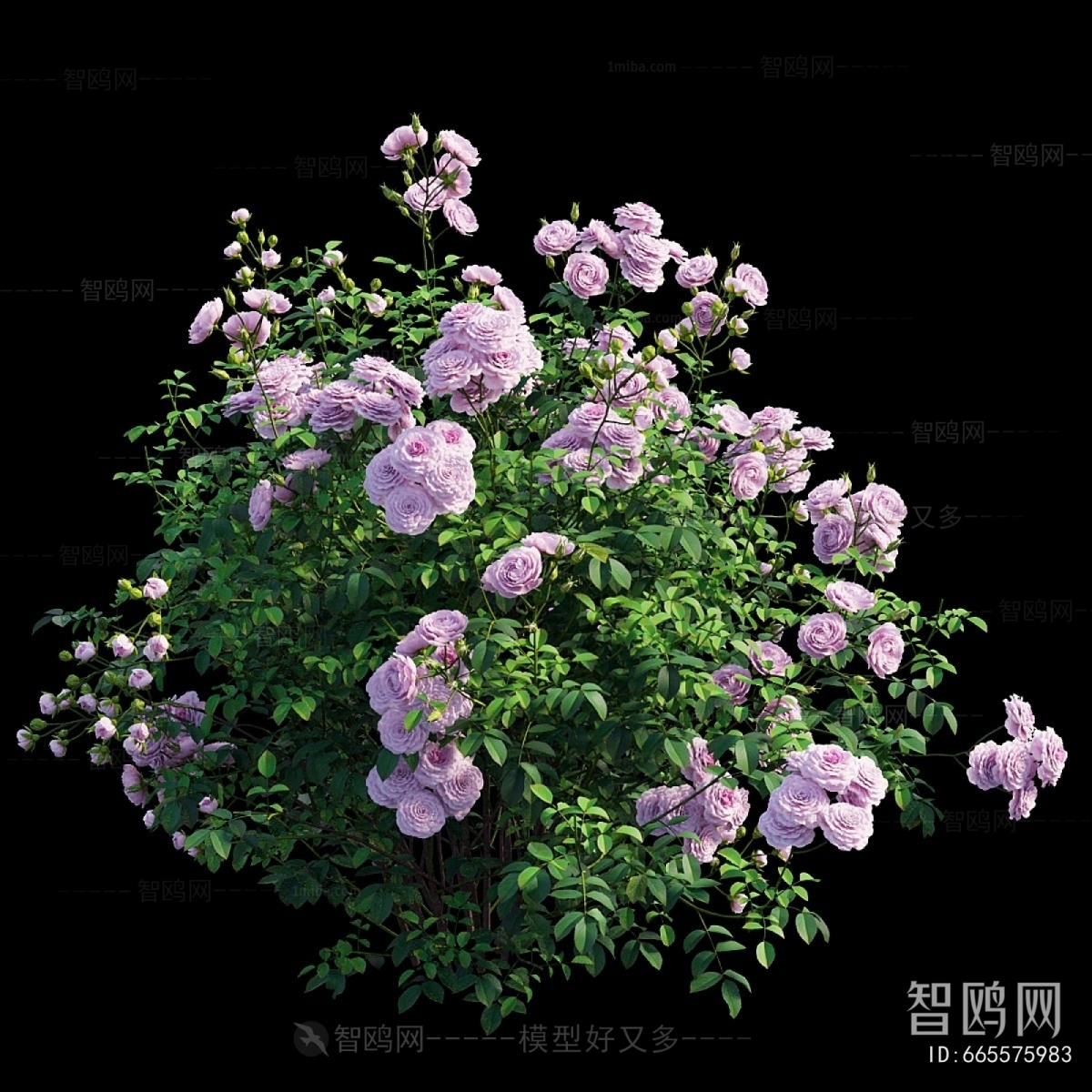 Modern Flowers And Grass