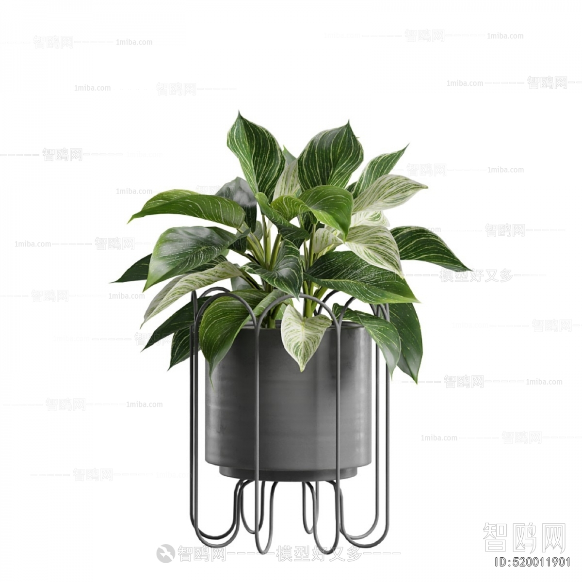 Modern Ground Green Plant Potted Plants