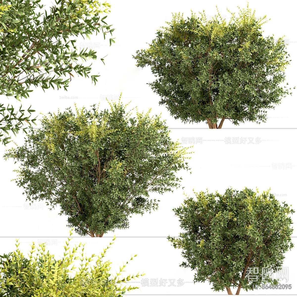 Modern Shrubbery