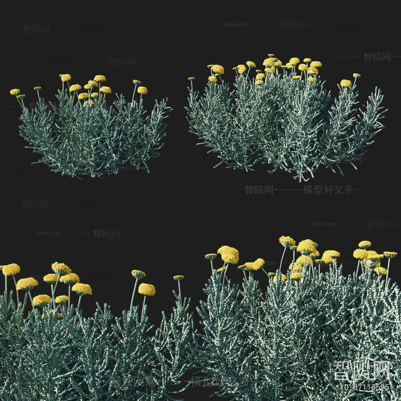 Modern Flowers And Grass