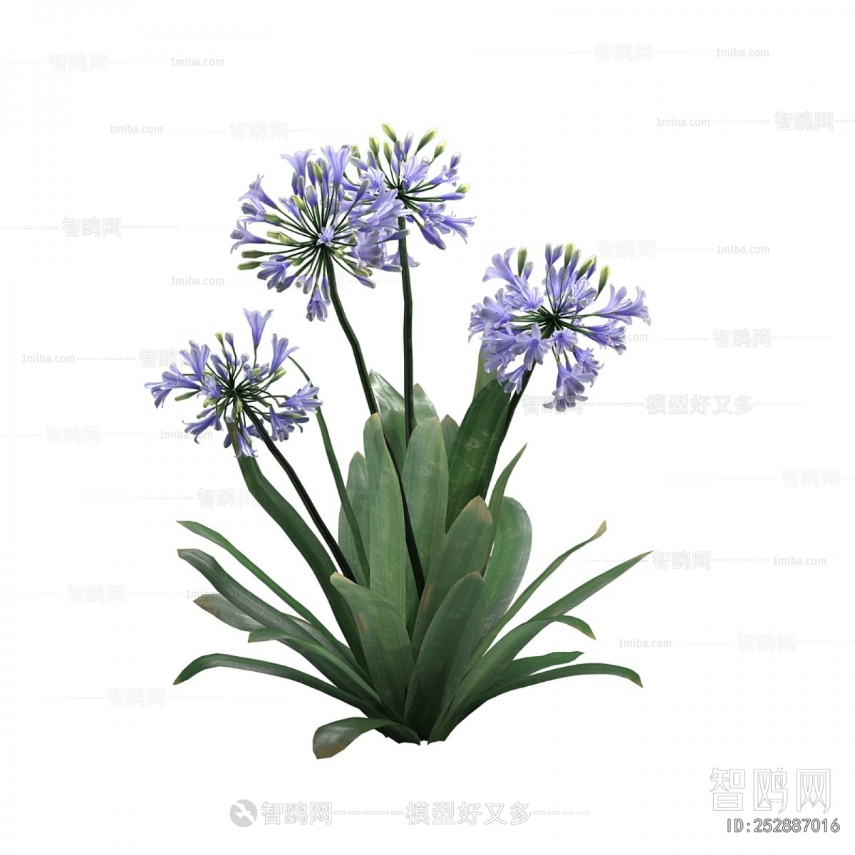 Modern Flowers And Grass