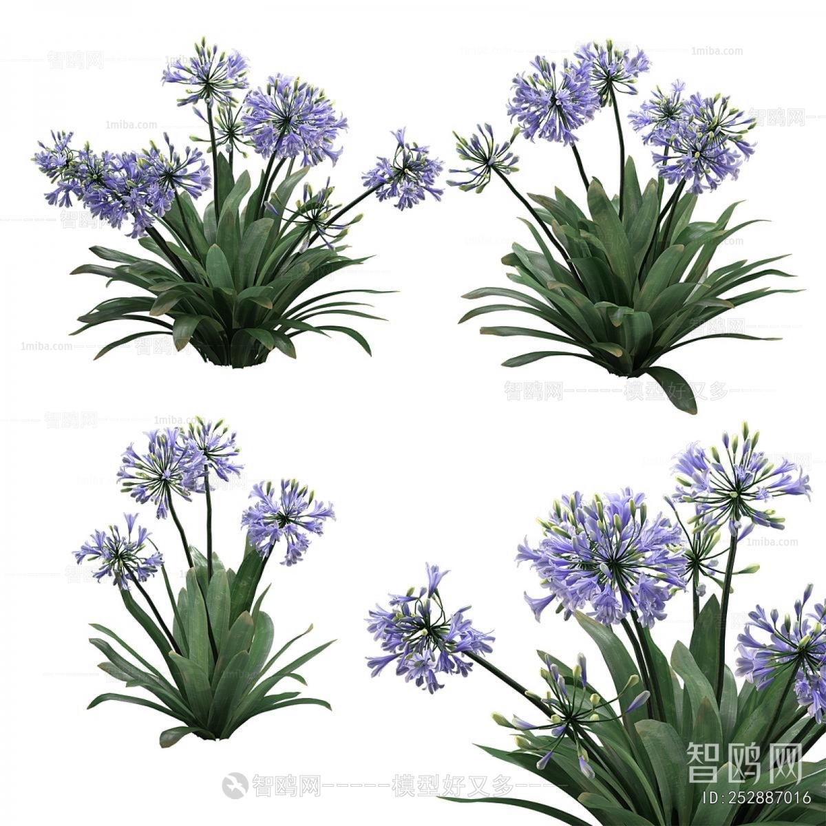Modern Flowers And Grass