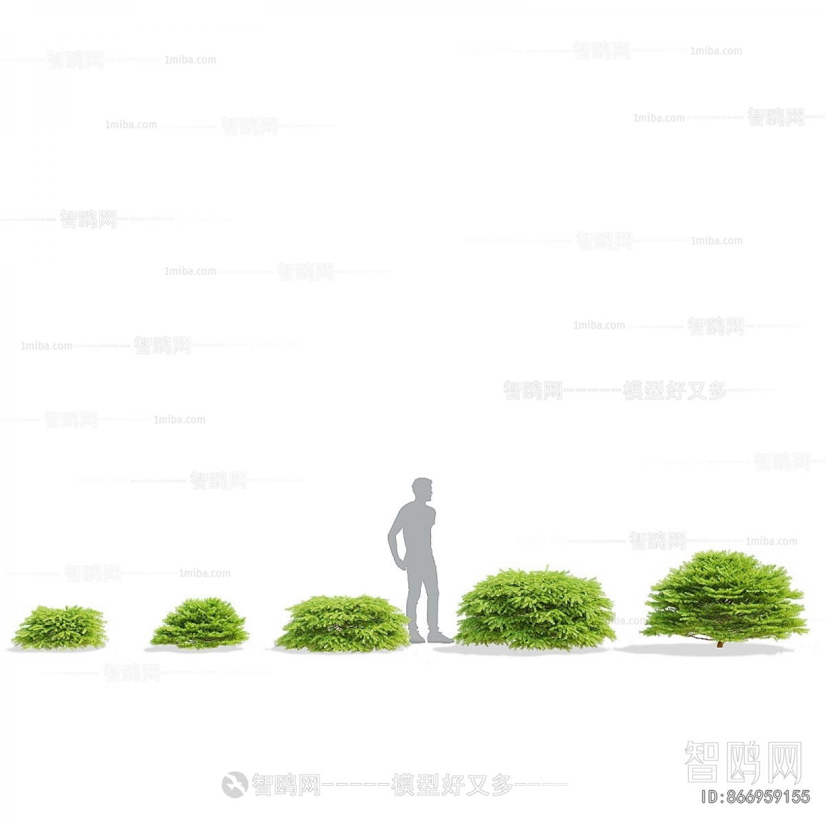 Modern Shrubbery