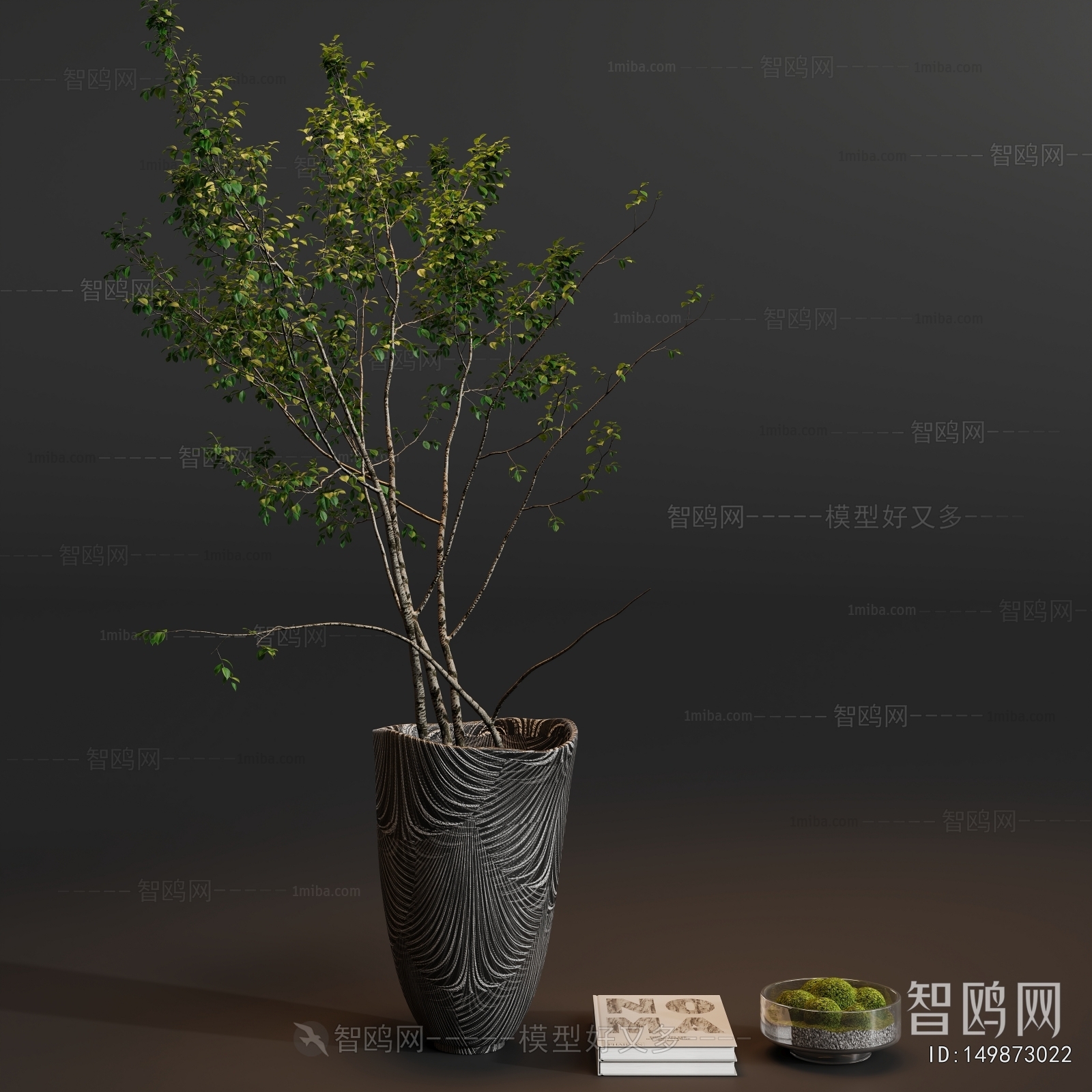 Modern Ground Green Plant Potted Plants