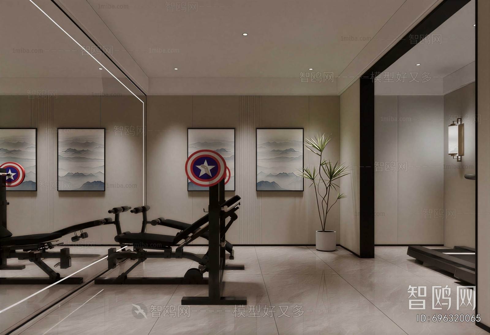 Modern Home Fitness Room