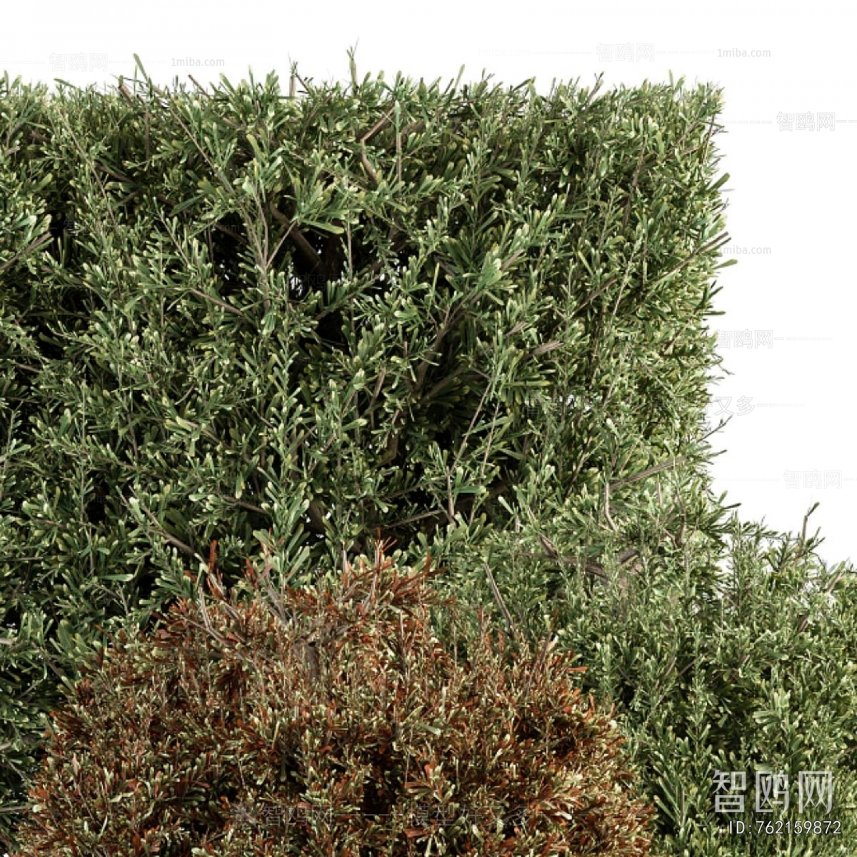 Modern Shrubbery