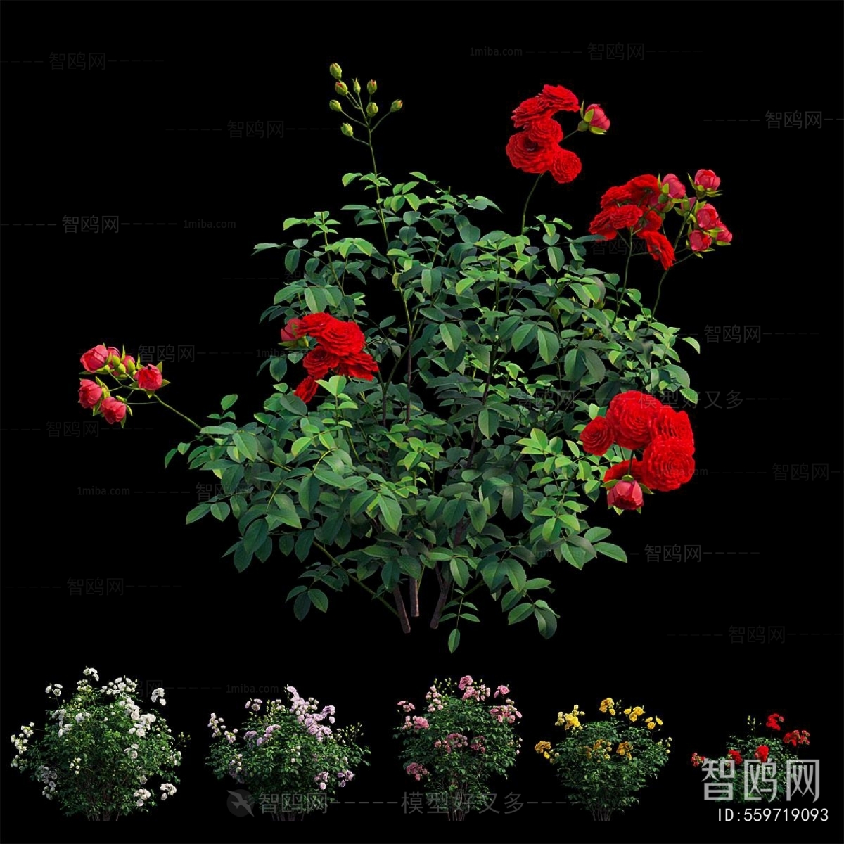 Modern Flowers And Grass