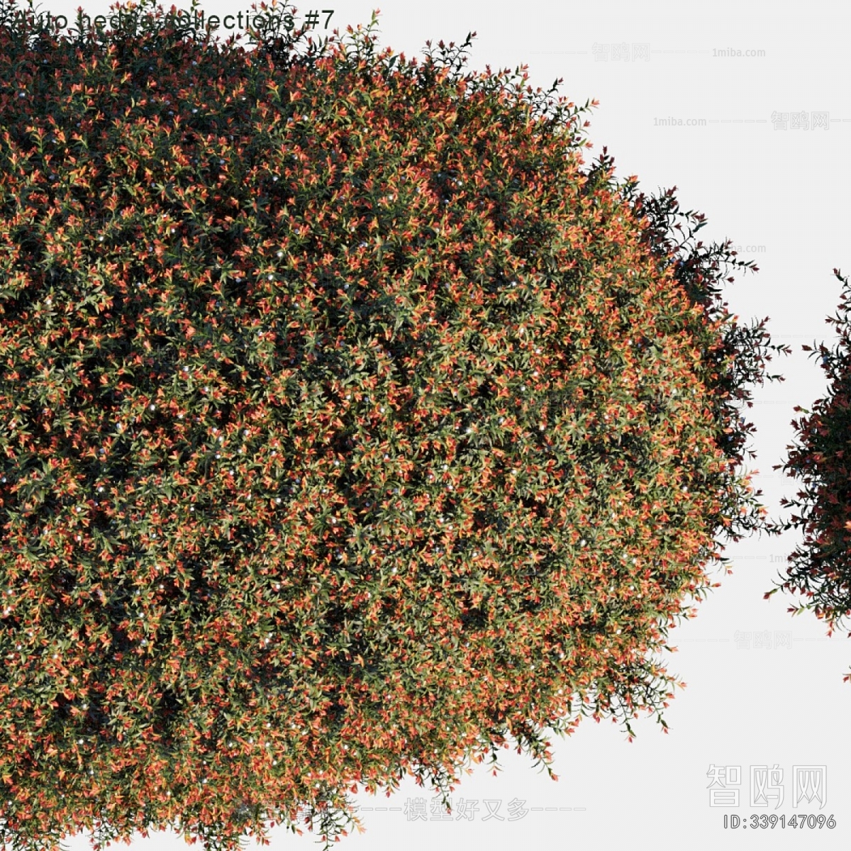 Modern Shrubbery