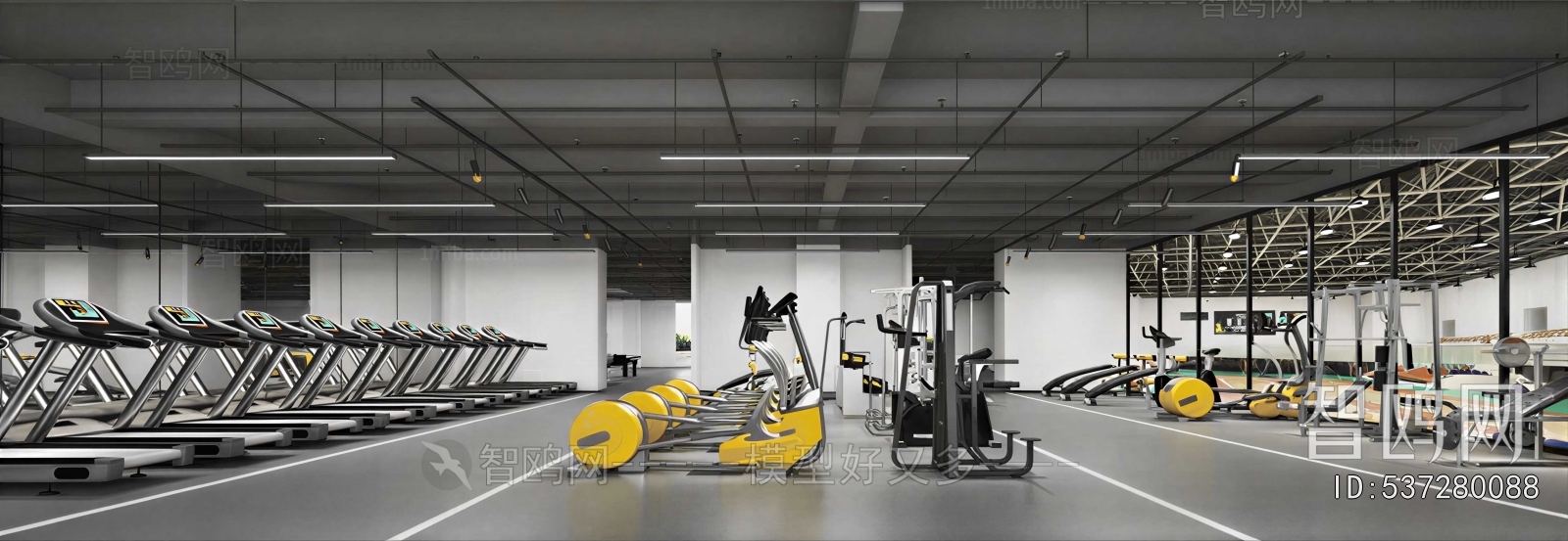 Modern Gym