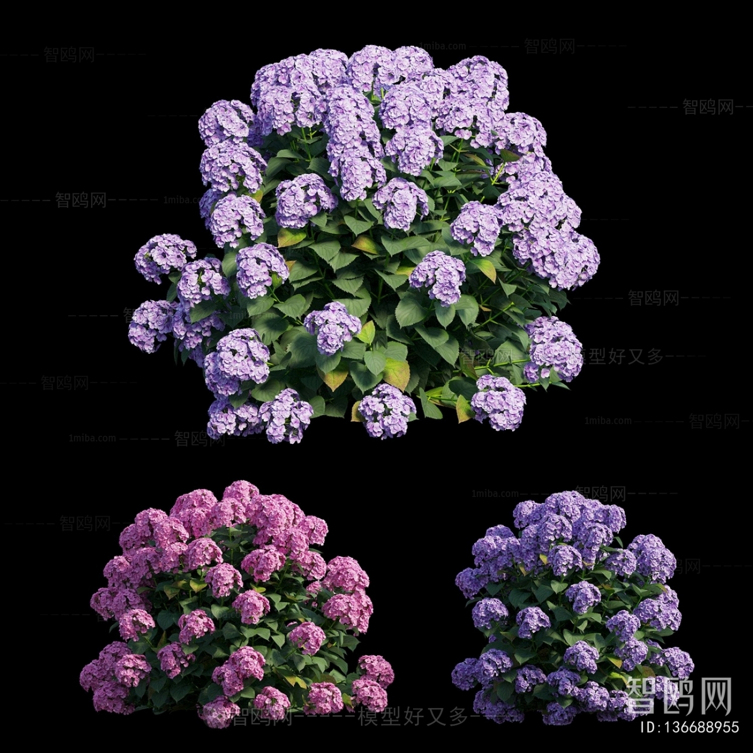 Modern Shrubbery