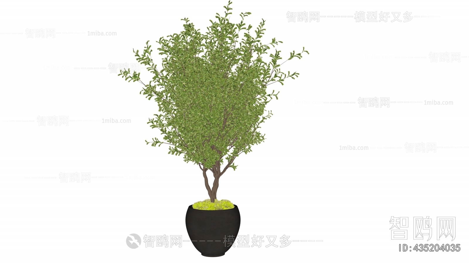 Modern Ground Green Plant Potted Plants