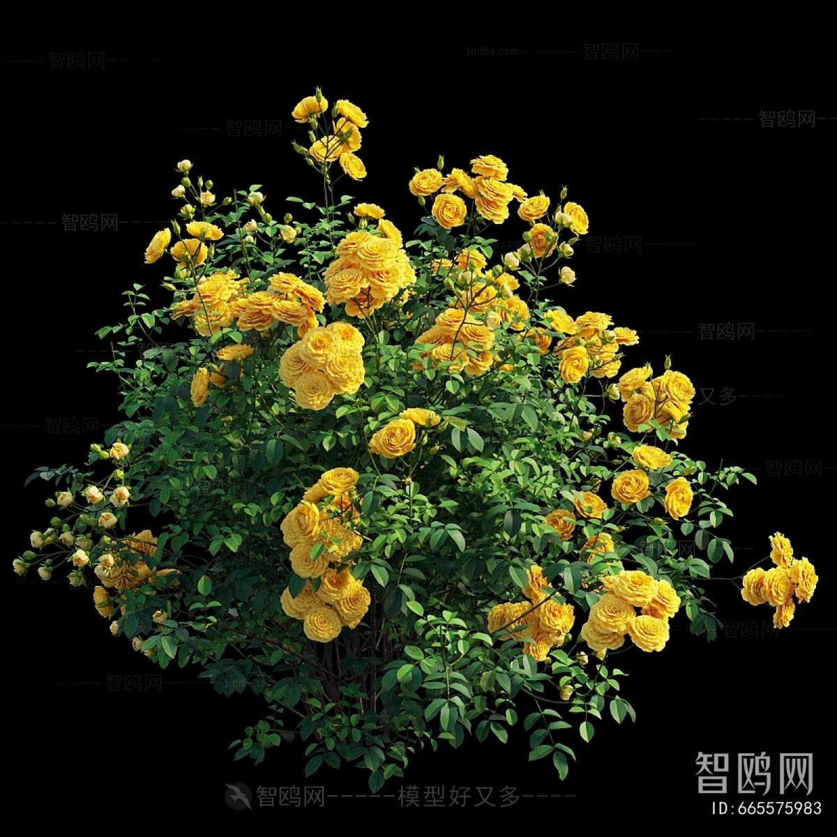 Modern Flowers And Grass