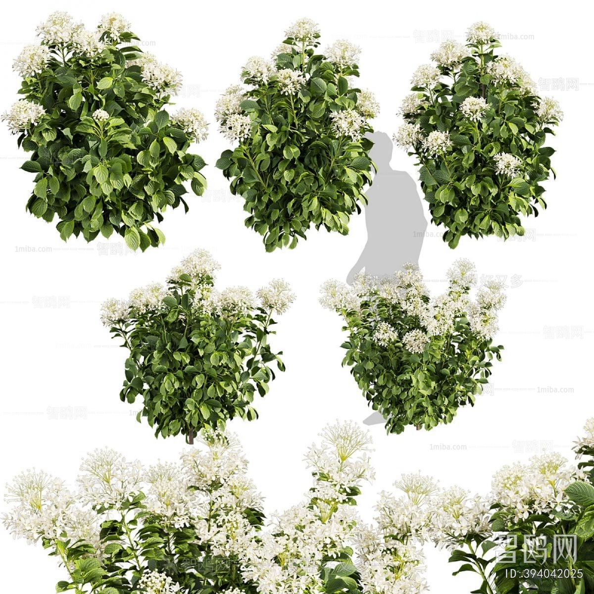 Modern Shrubbery