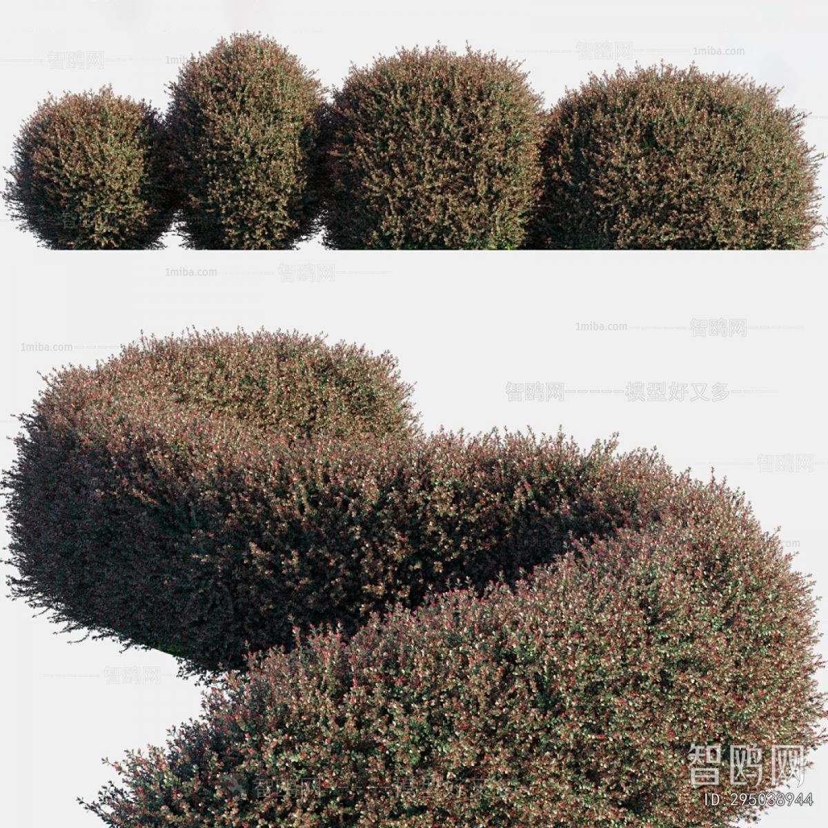 Modern Shrubbery