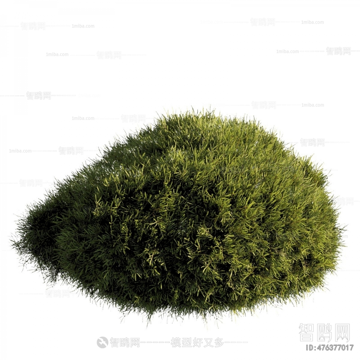 Modern Shrubbery