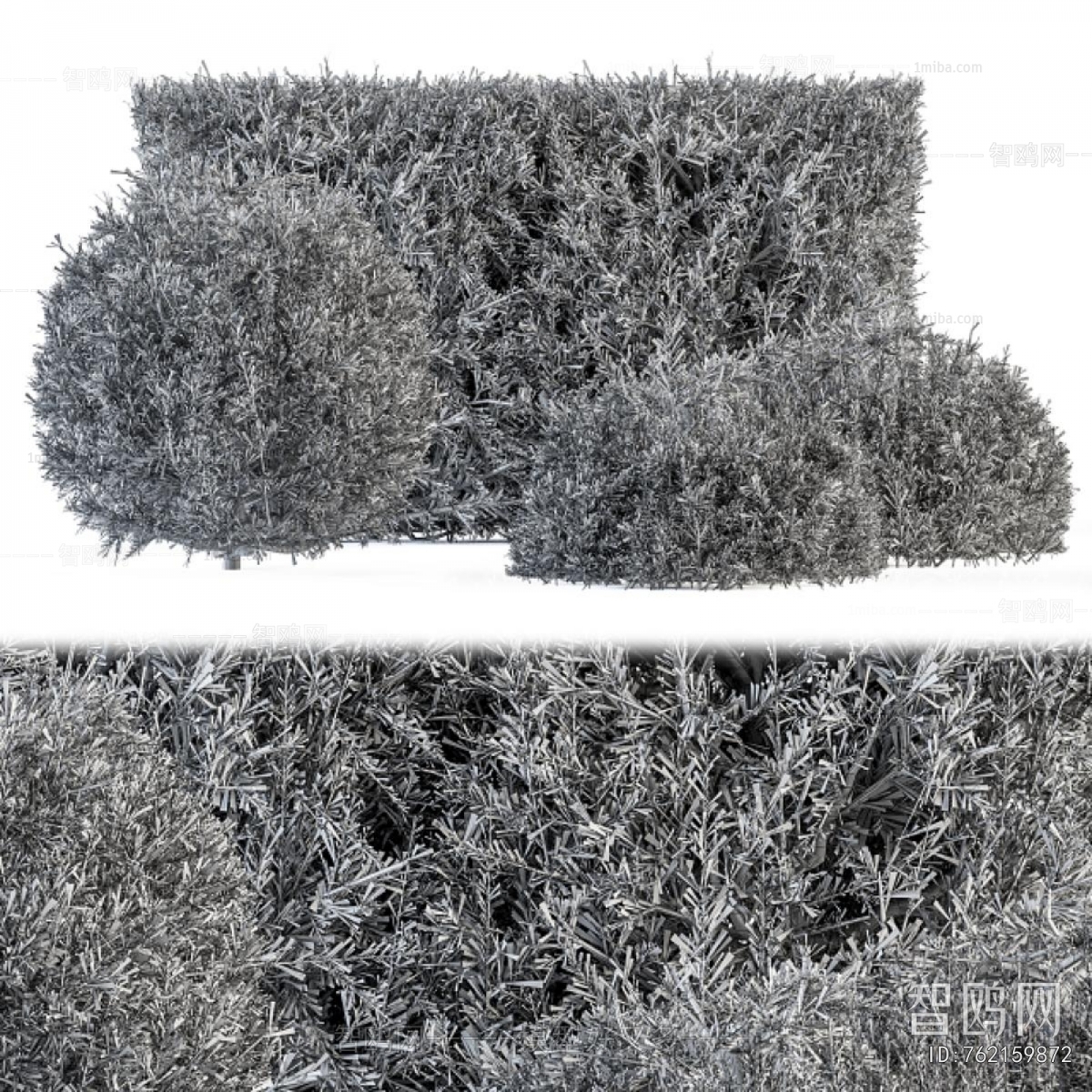 Modern Shrubbery