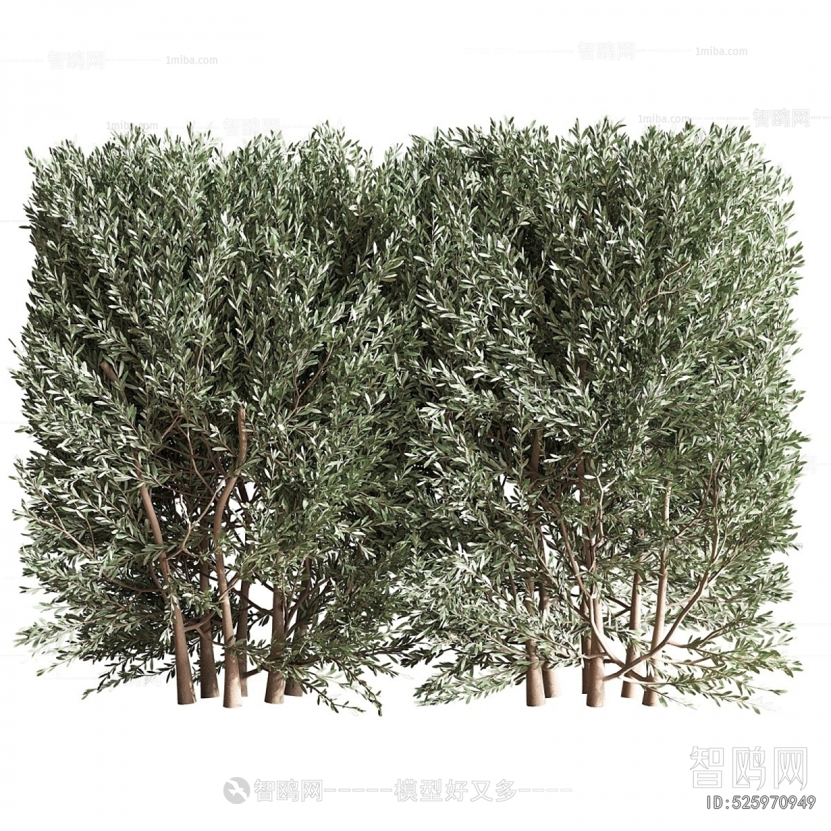 Modern Shrubbery