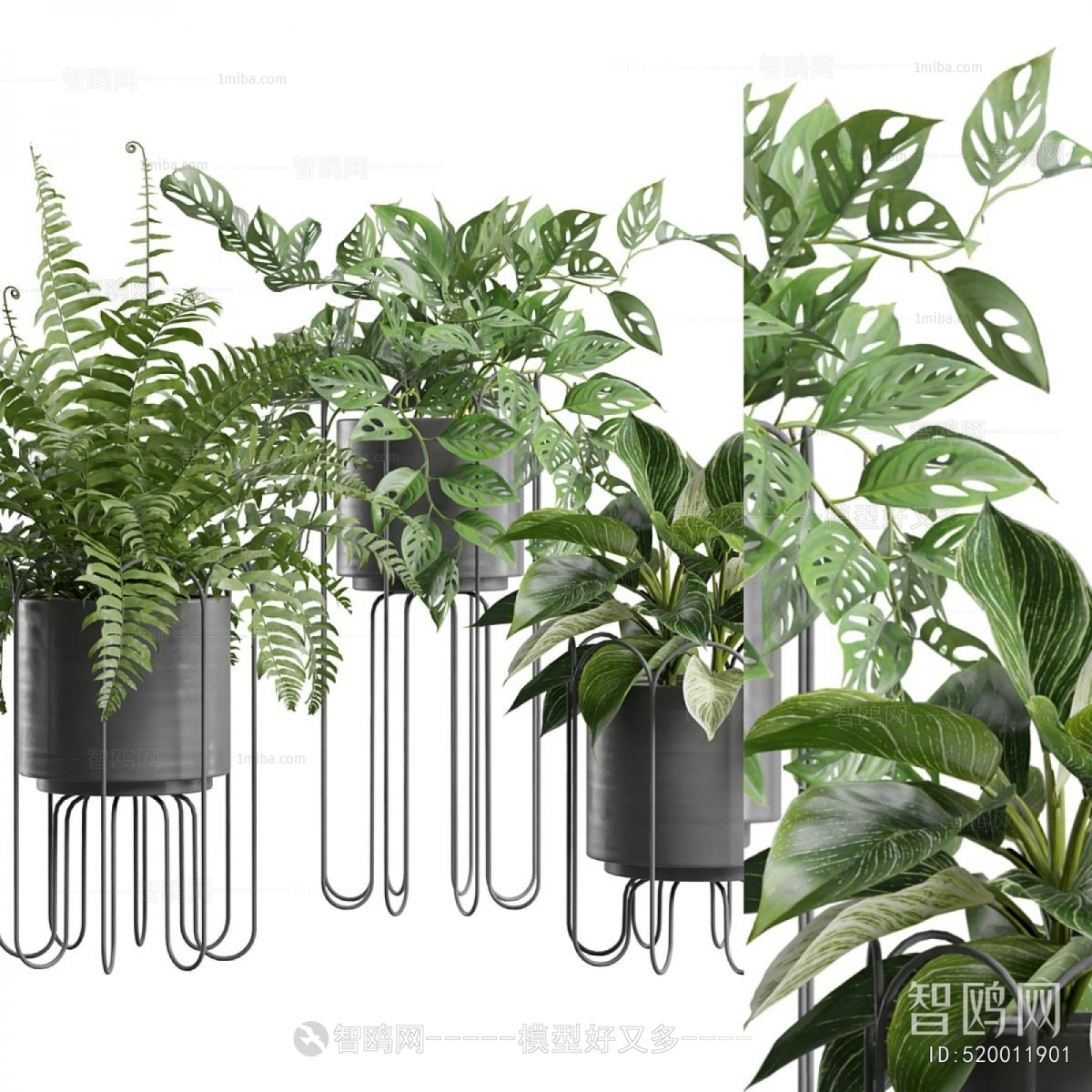 Modern Ground Green Plant Potted Plants
