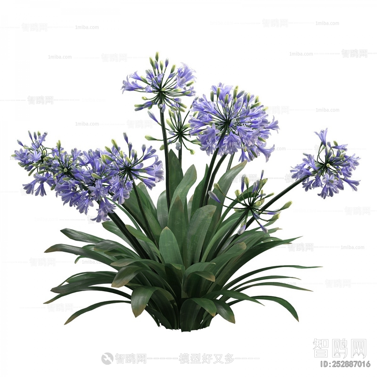 Modern Flowers And Grass
