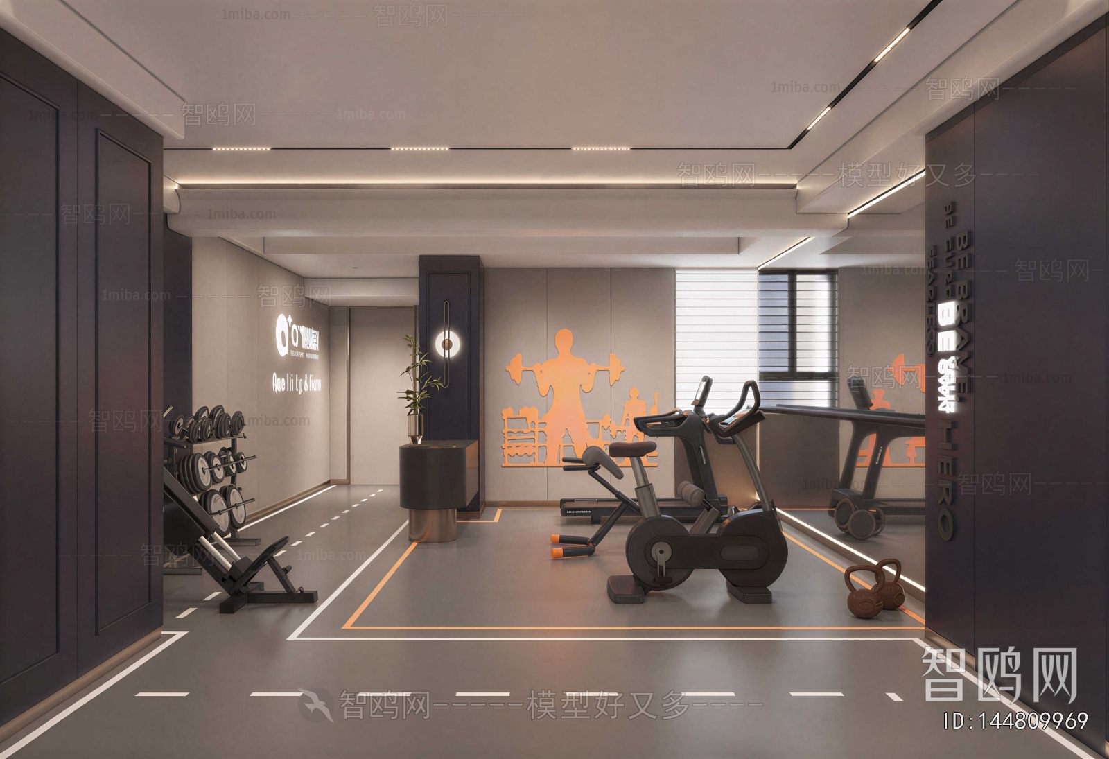 Modern Gym
