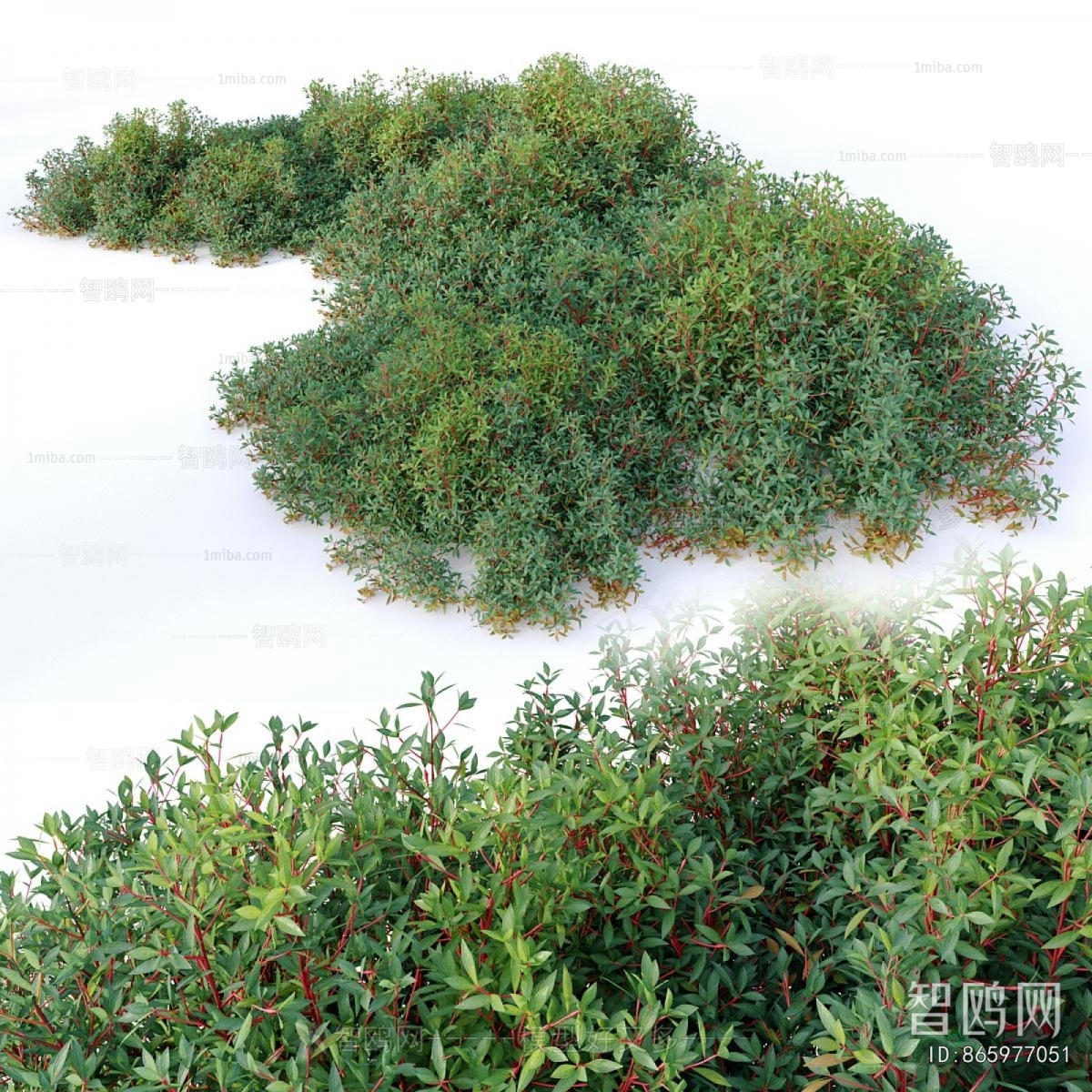 Modern Shrubbery
