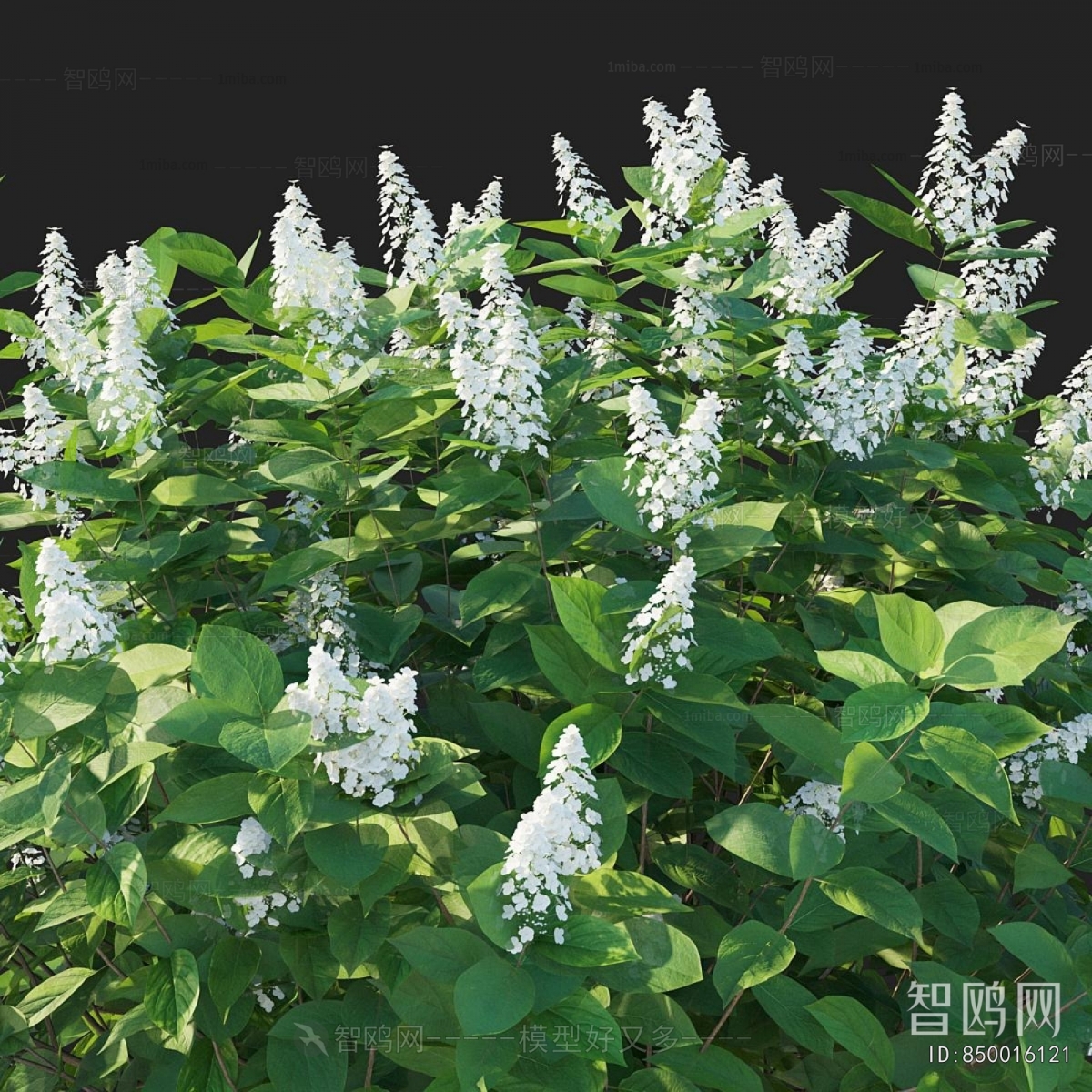 Modern Shrubbery