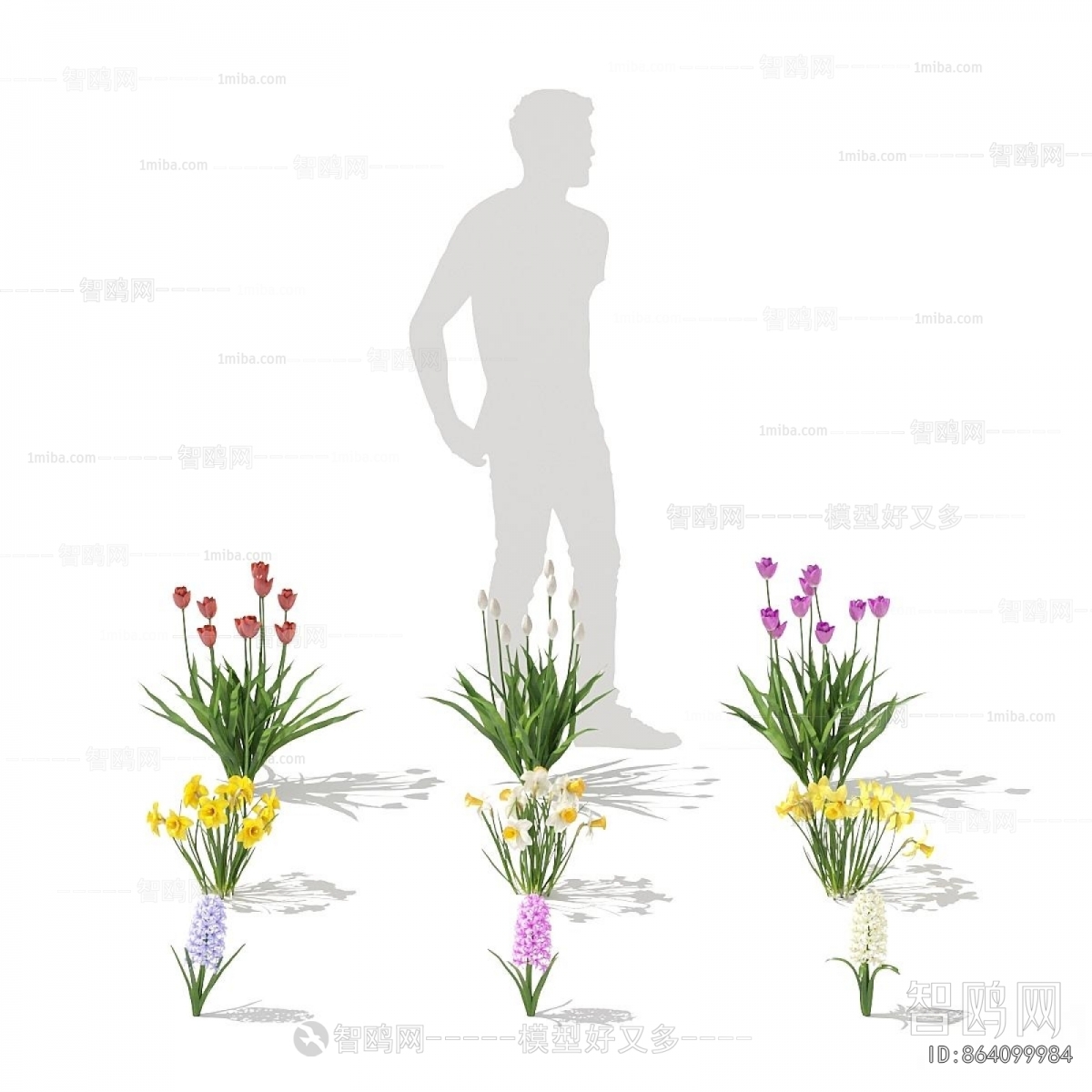 Modern Flowers And Grass