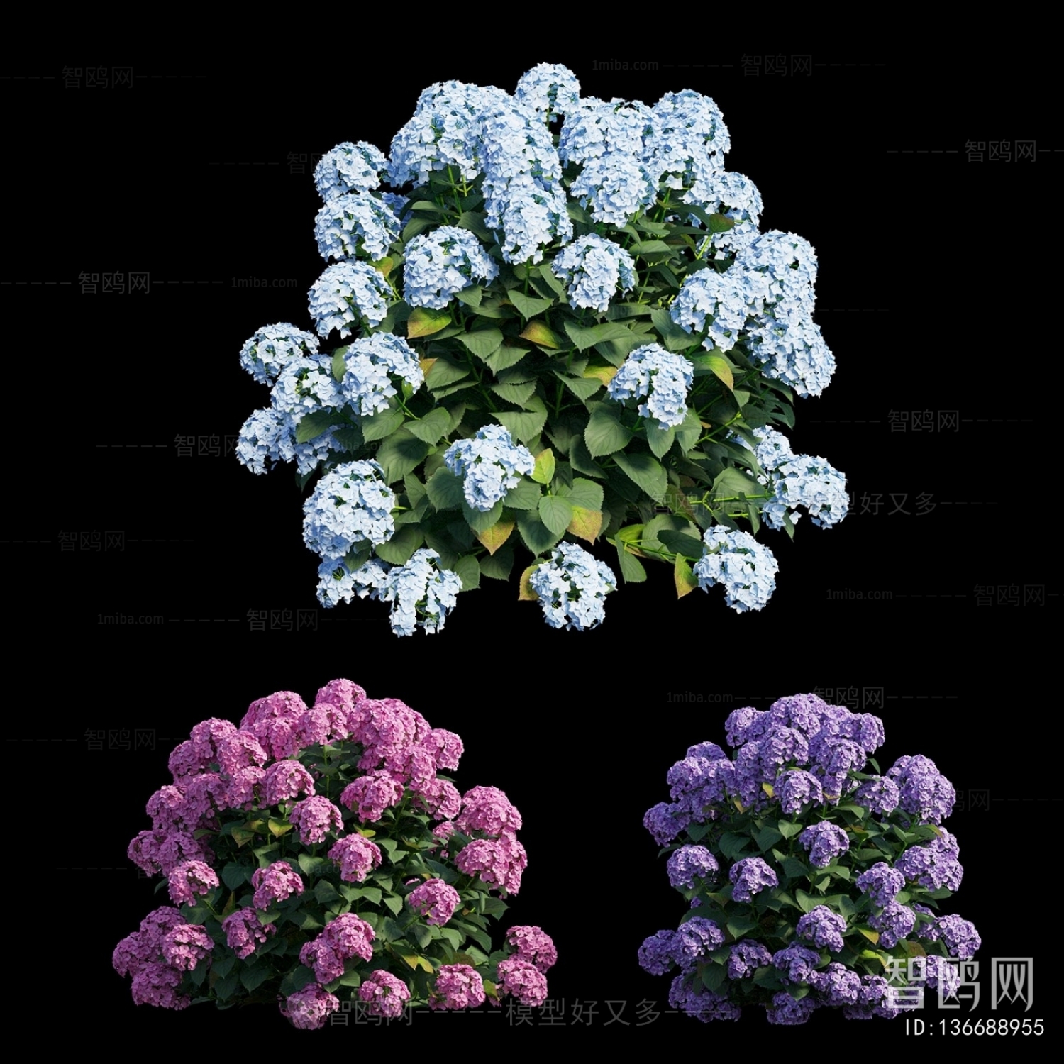 Modern Shrubbery
