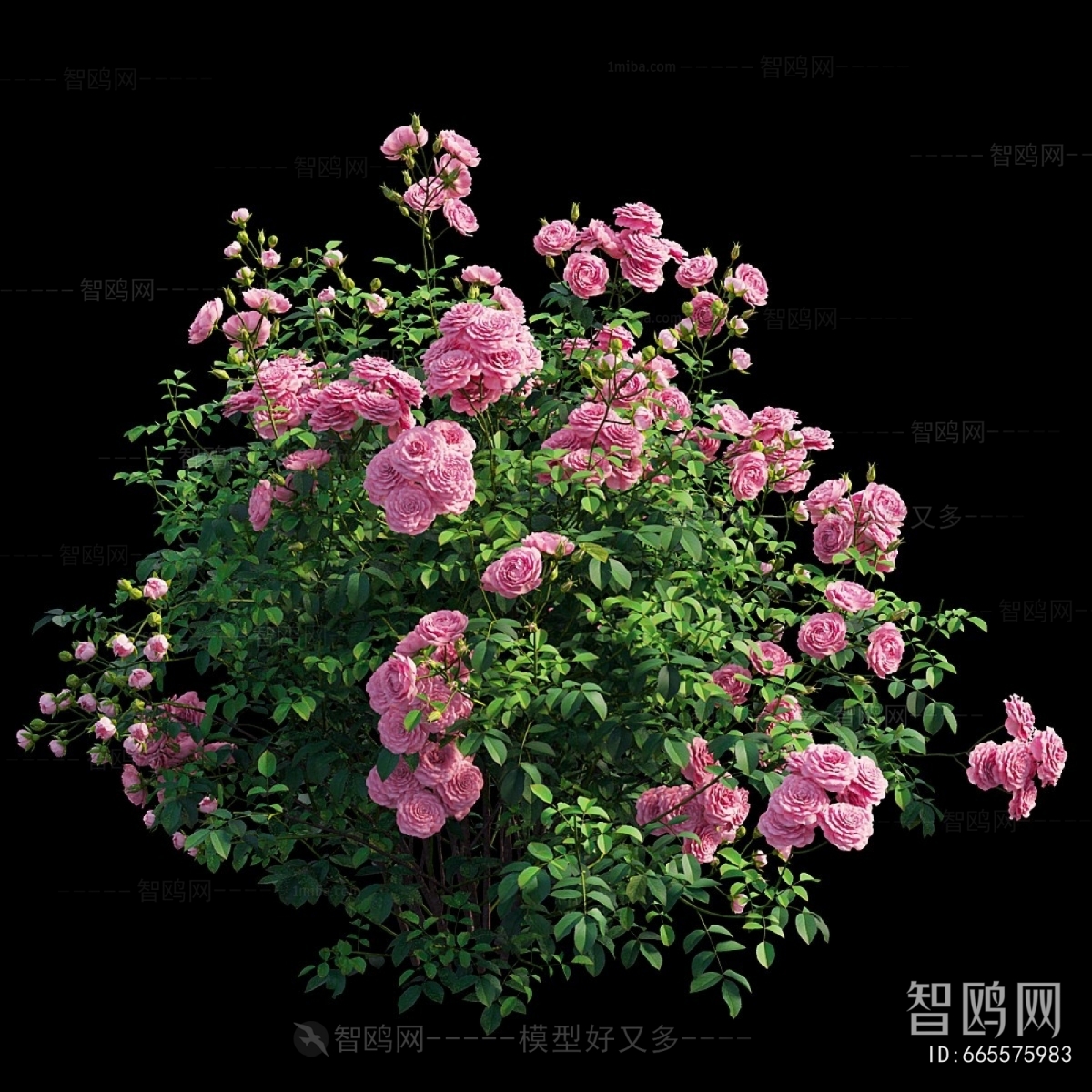 Modern Flowers And Grass