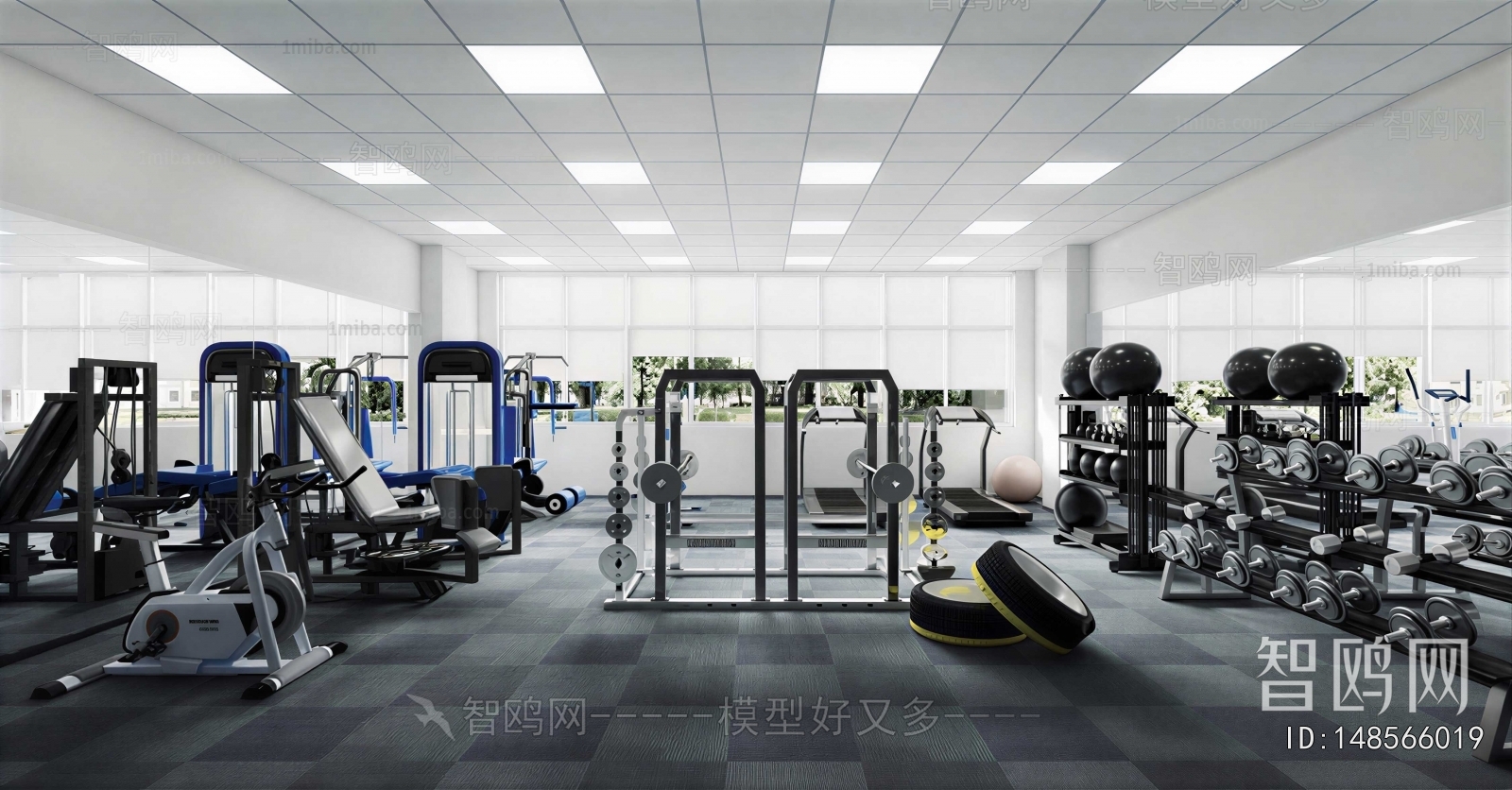 Modern Gym