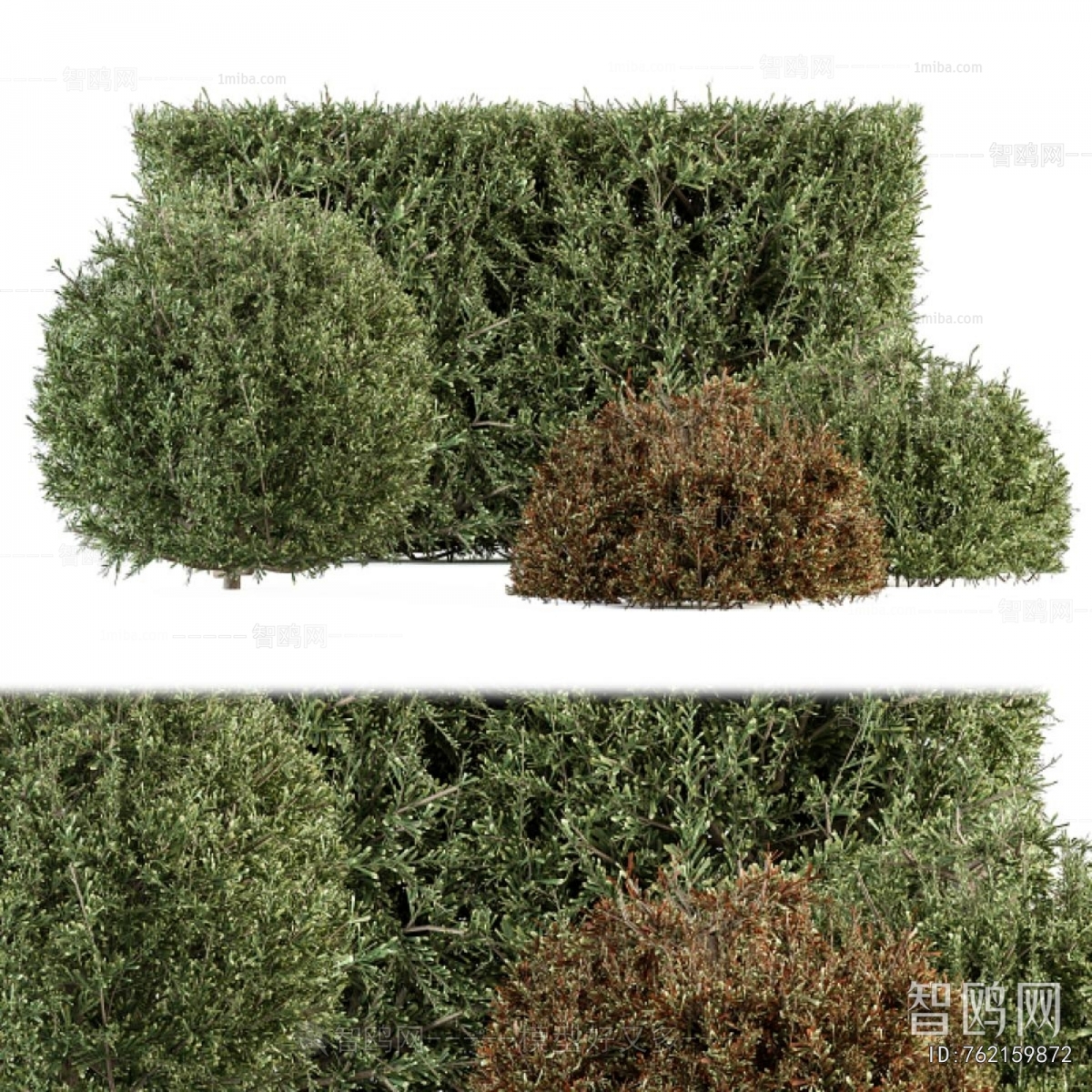 Modern Shrubbery
