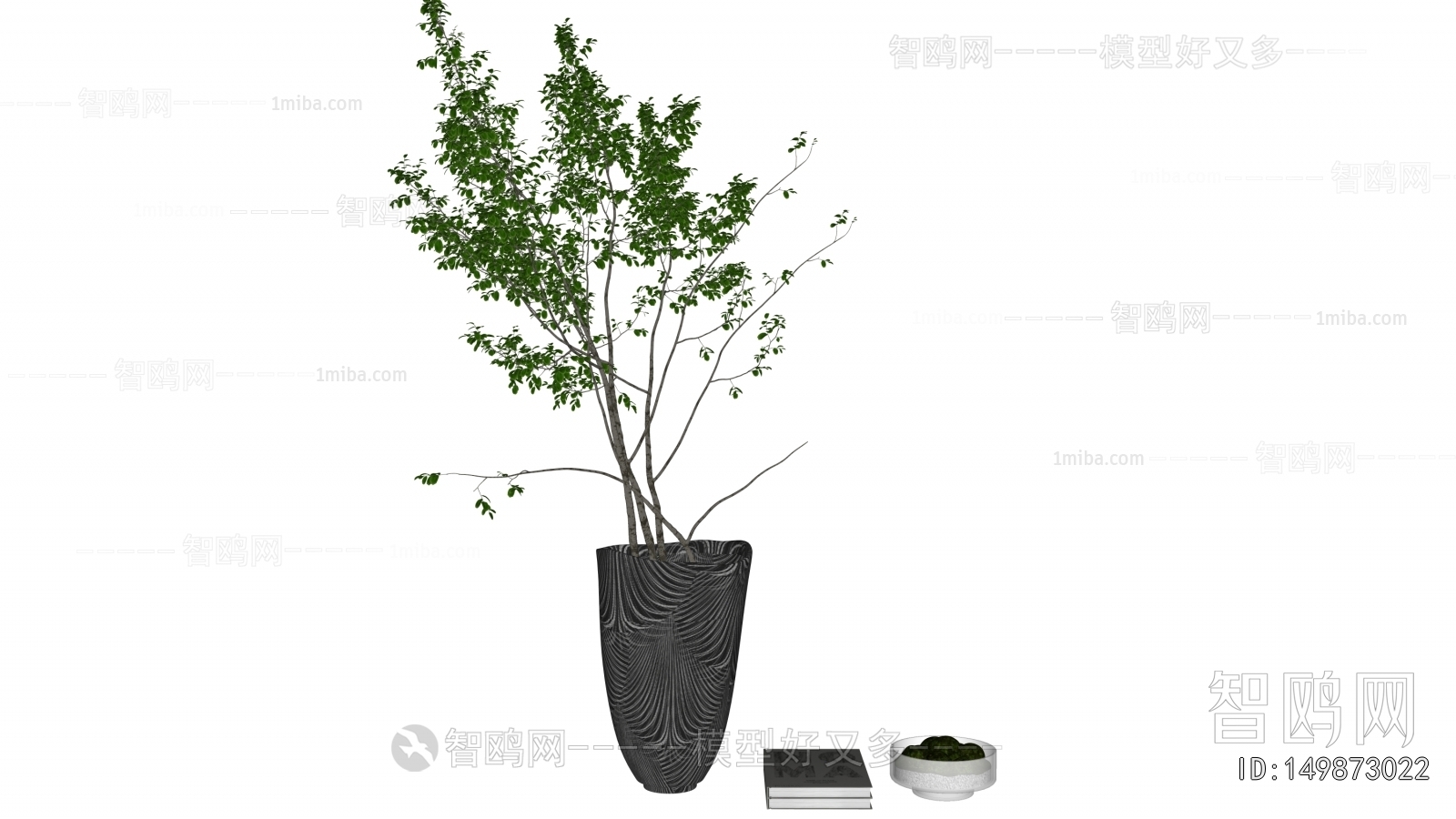 Modern Ground Green Plant Potted Plants