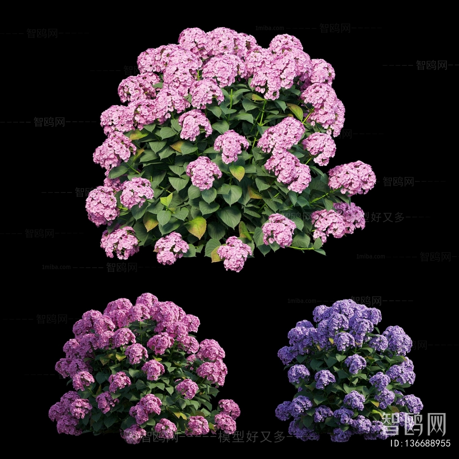Modern Shrubbery