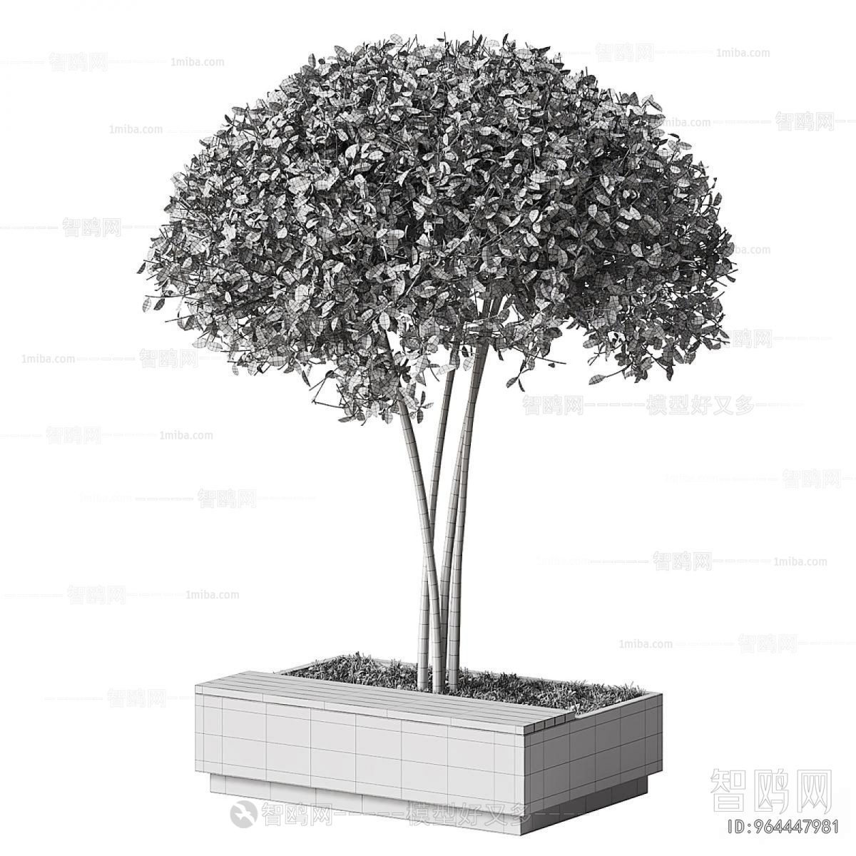 Modern Flower Bed, Flower Bowl, Flower Box
