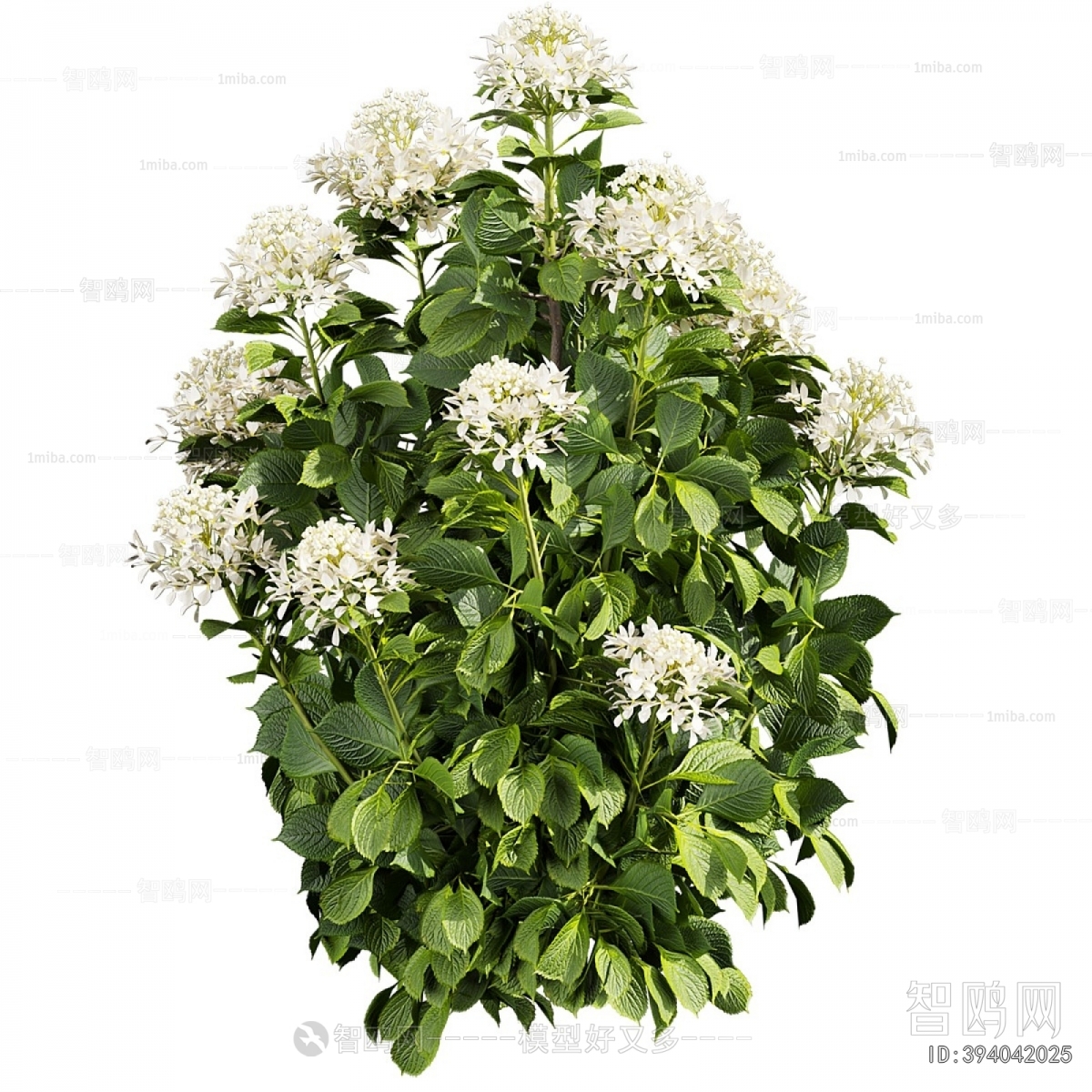 Modern Shrubbery