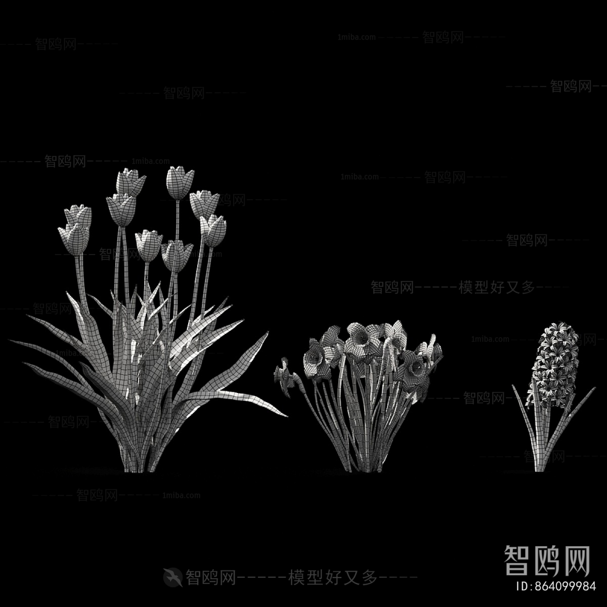 Modern Flowers And Grass