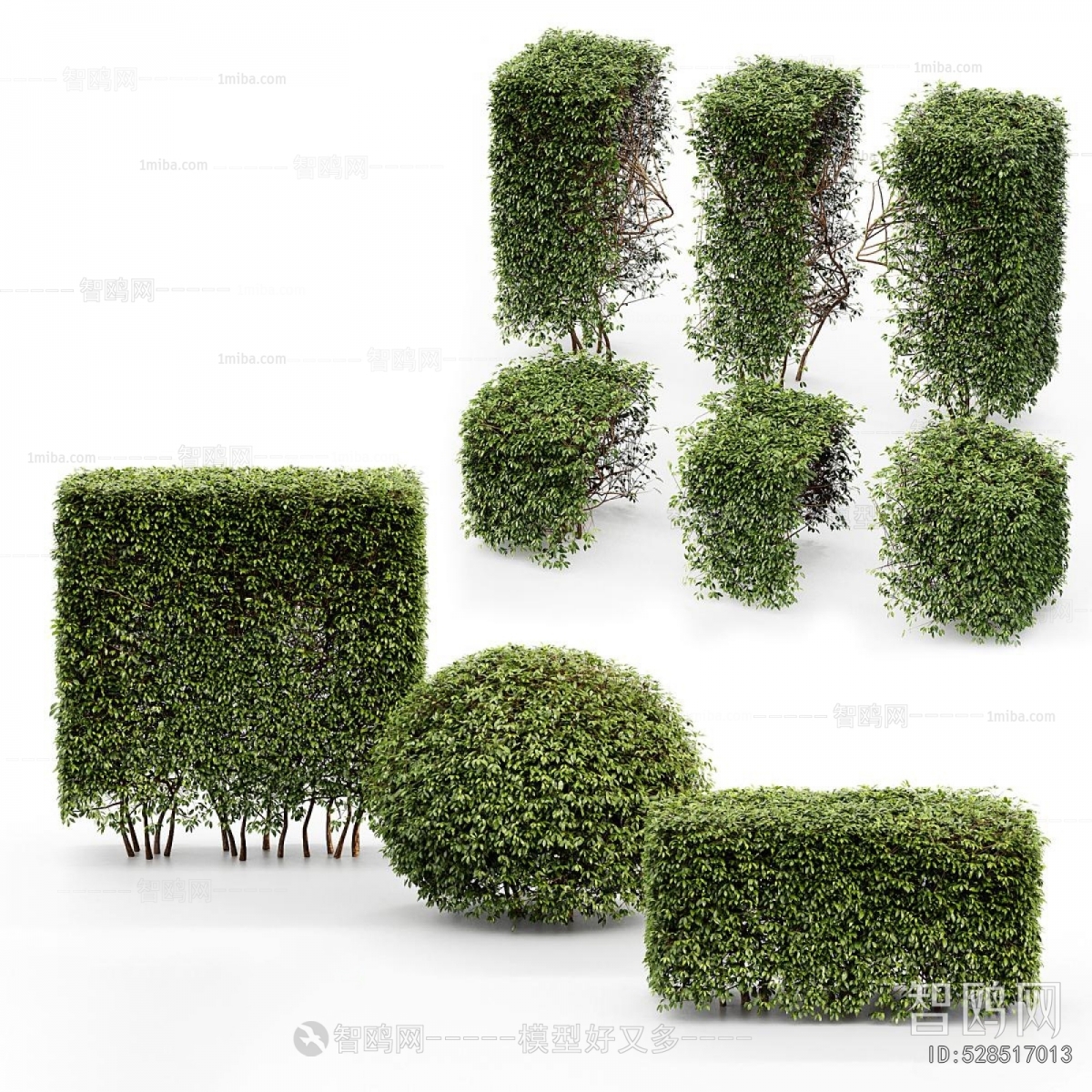 Modern Shrubbery