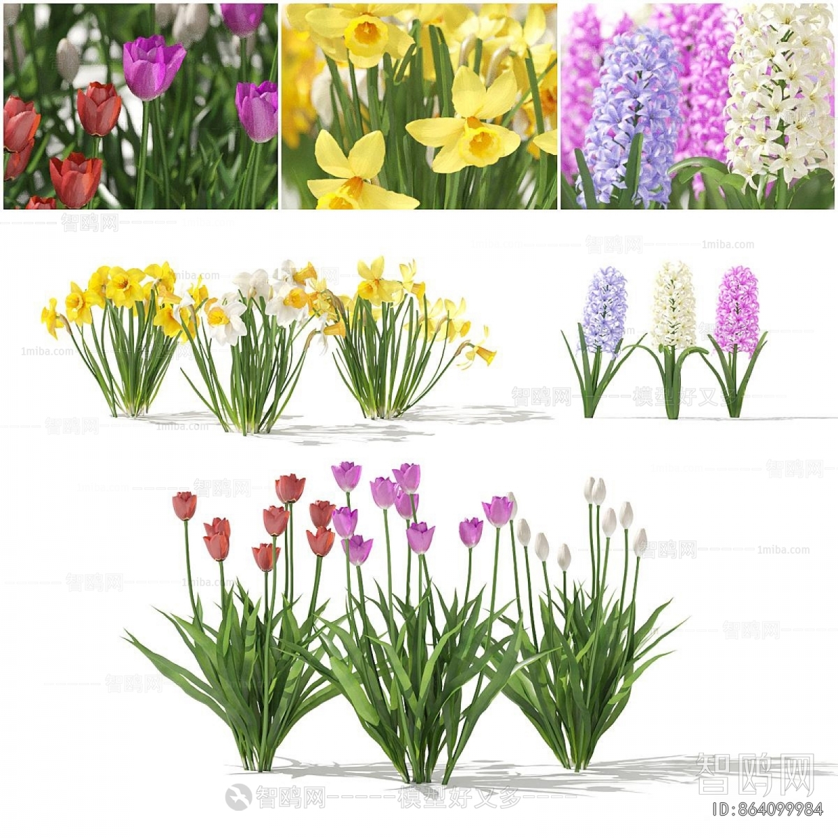 Modern Flowers And Grass