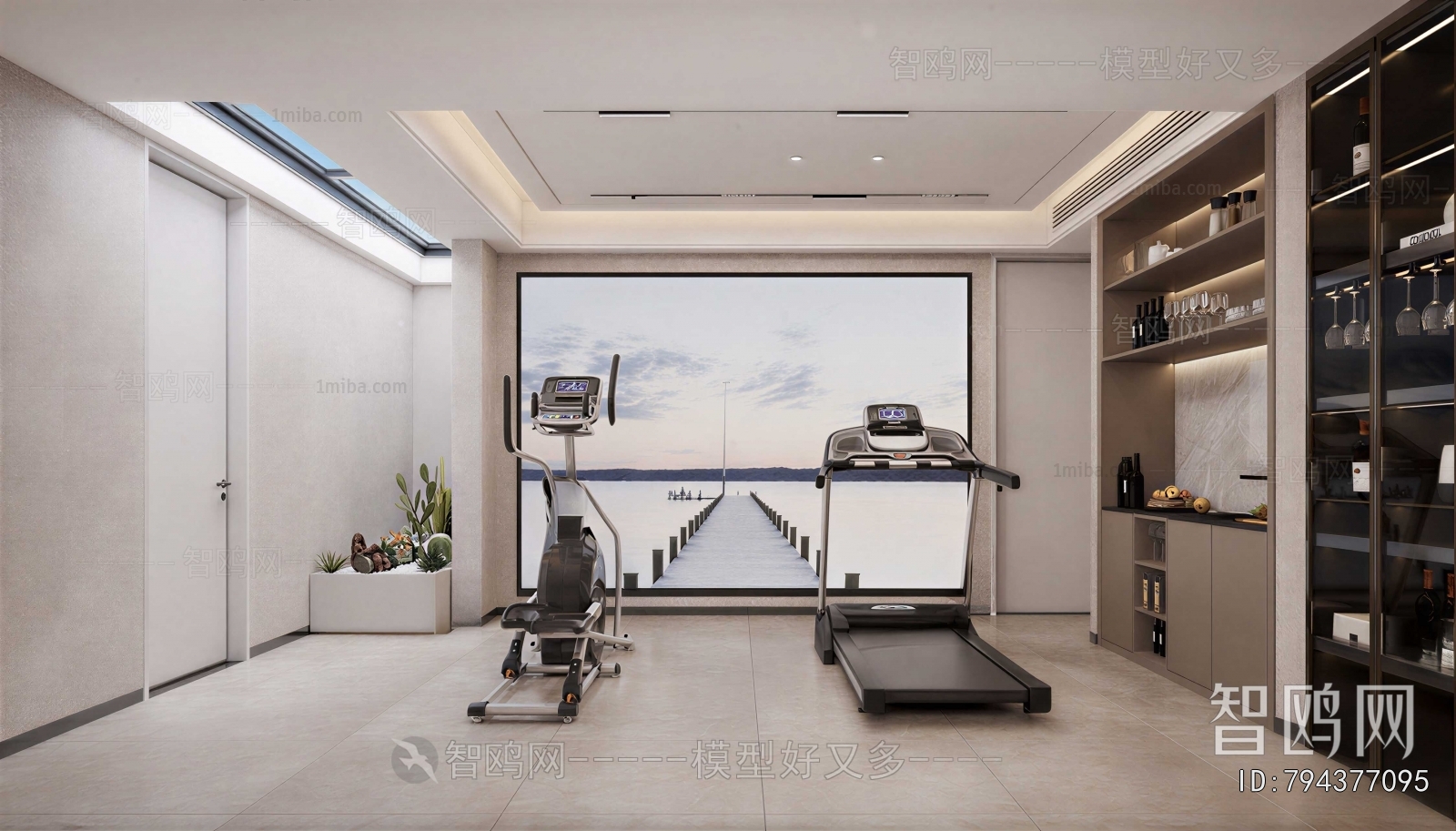 Modern Home Fitness Room
