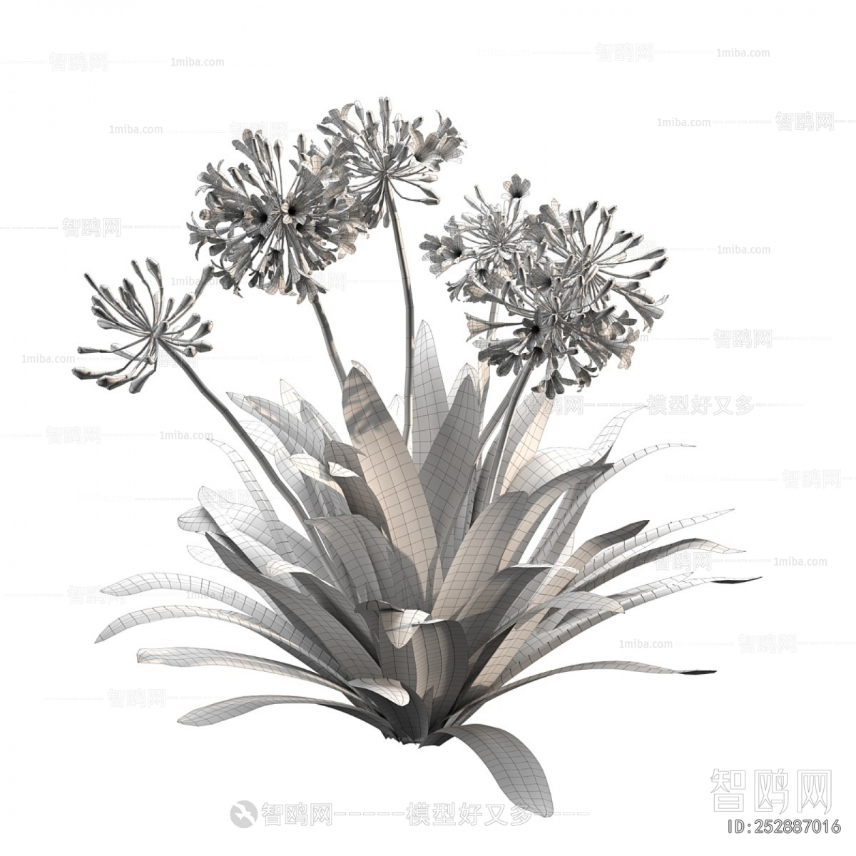 Modern Flowers And Grass